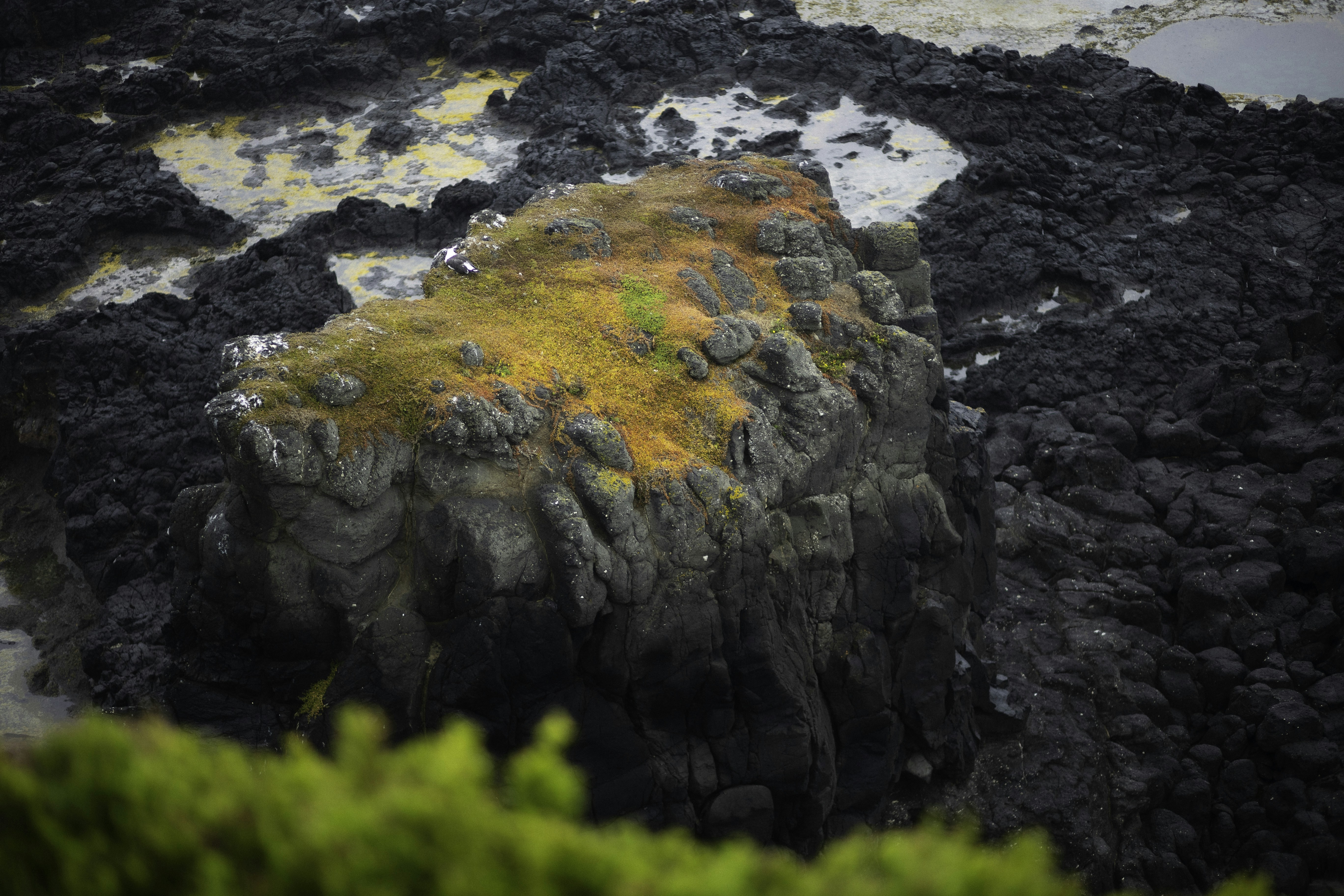 Photo by behindthetmuna