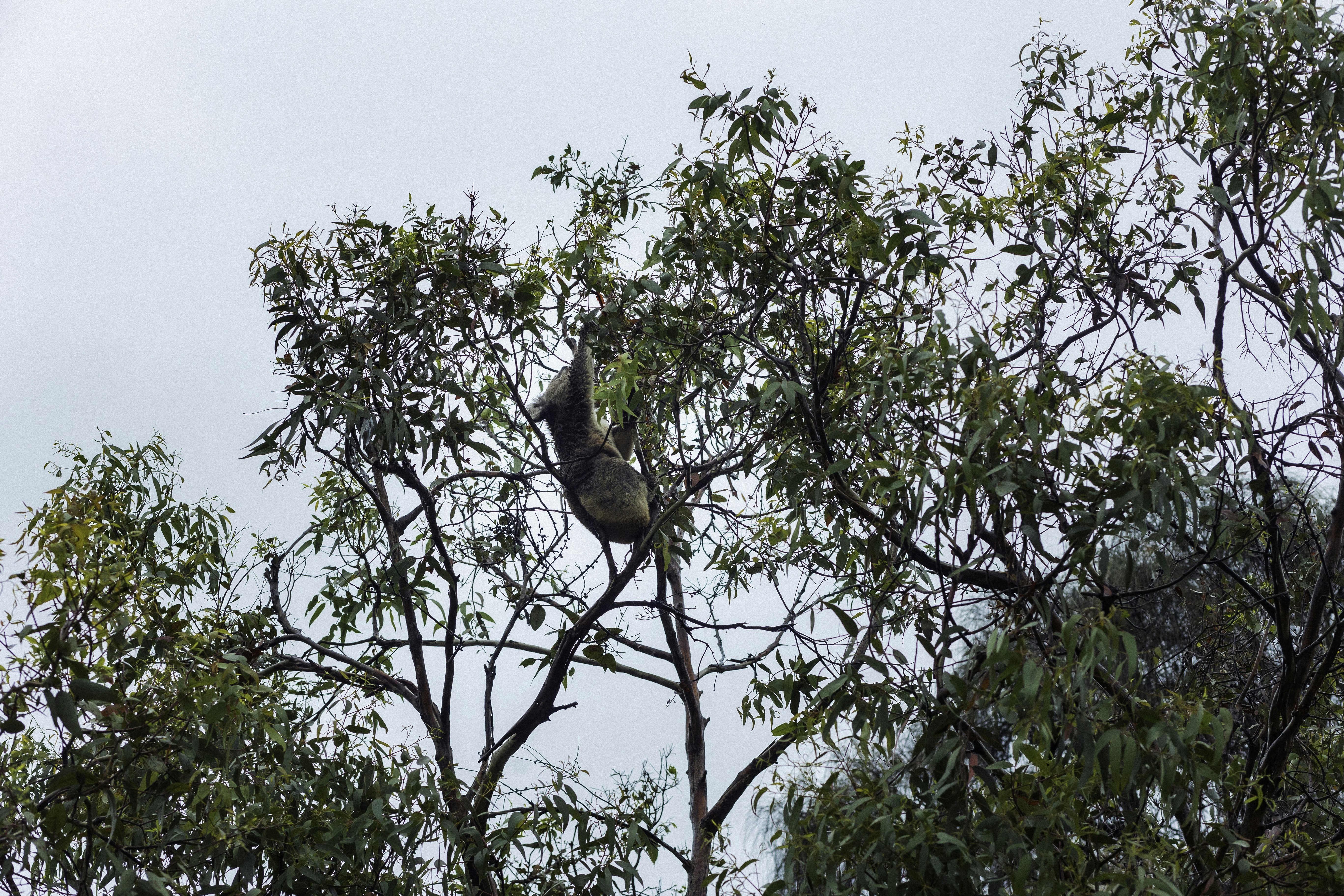 Photo by behindthetmuna