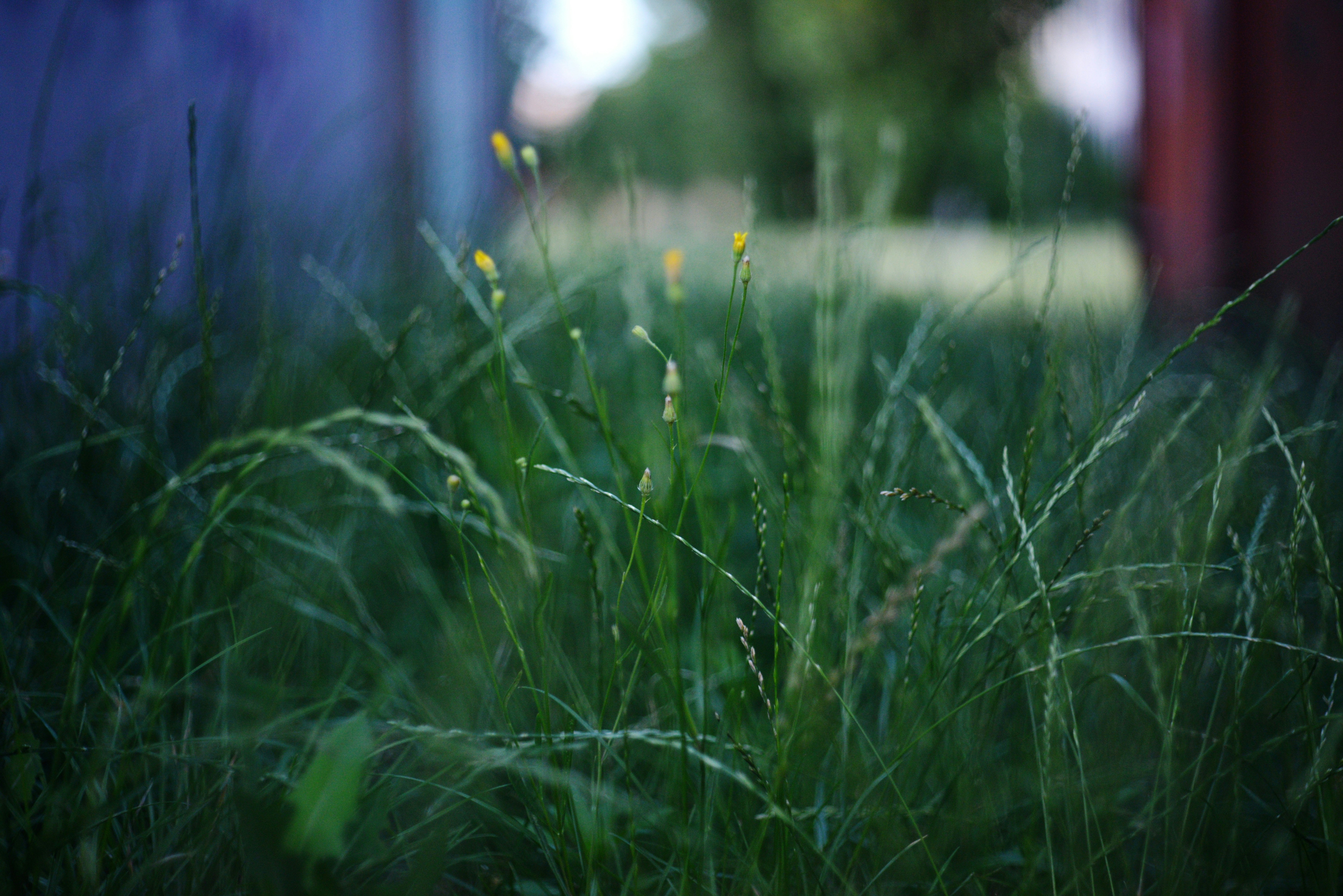 Photo by cherstve_pechivo