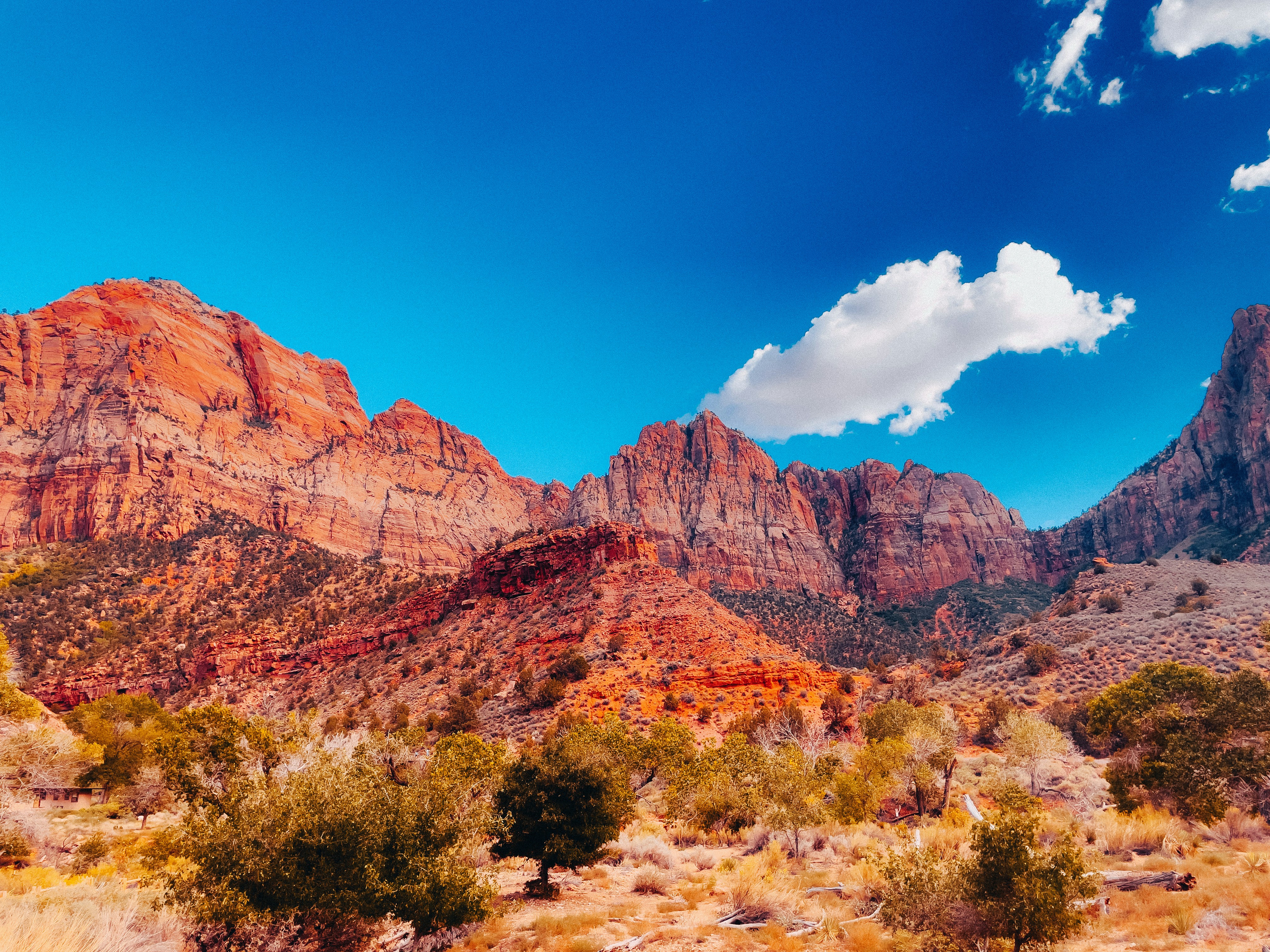 Photo by allenboguslavsky