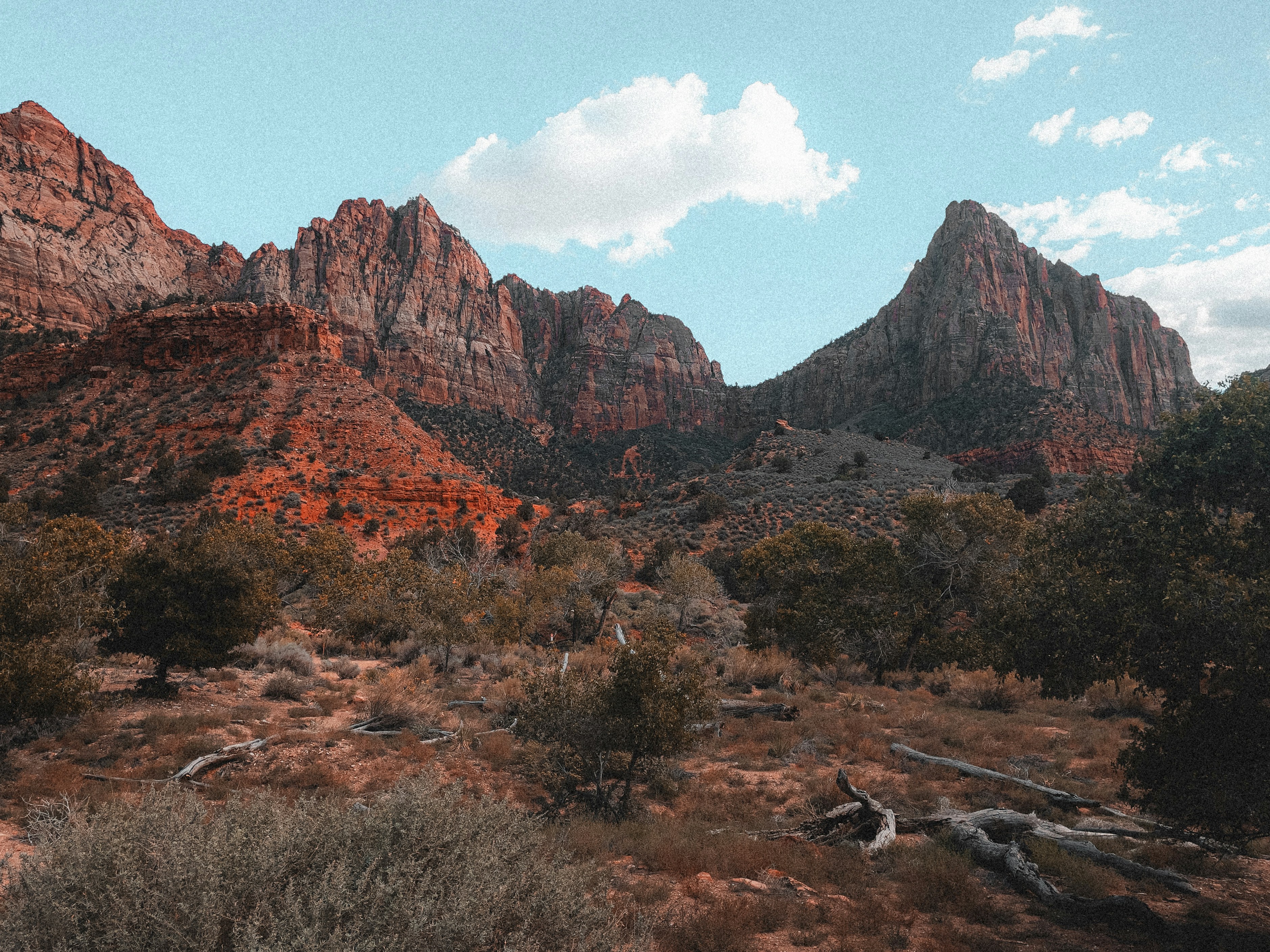 Photo by allenboguslavsky