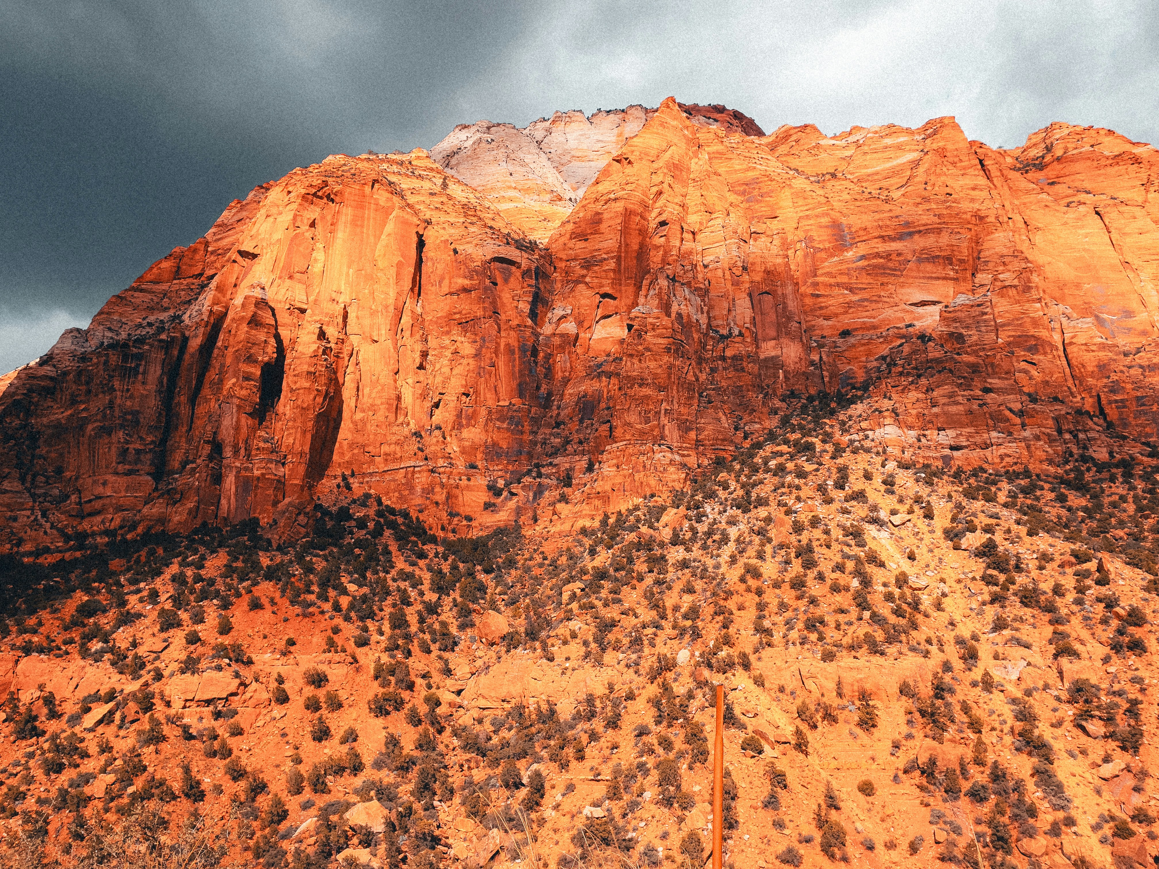 Photo by allenboguslavsky