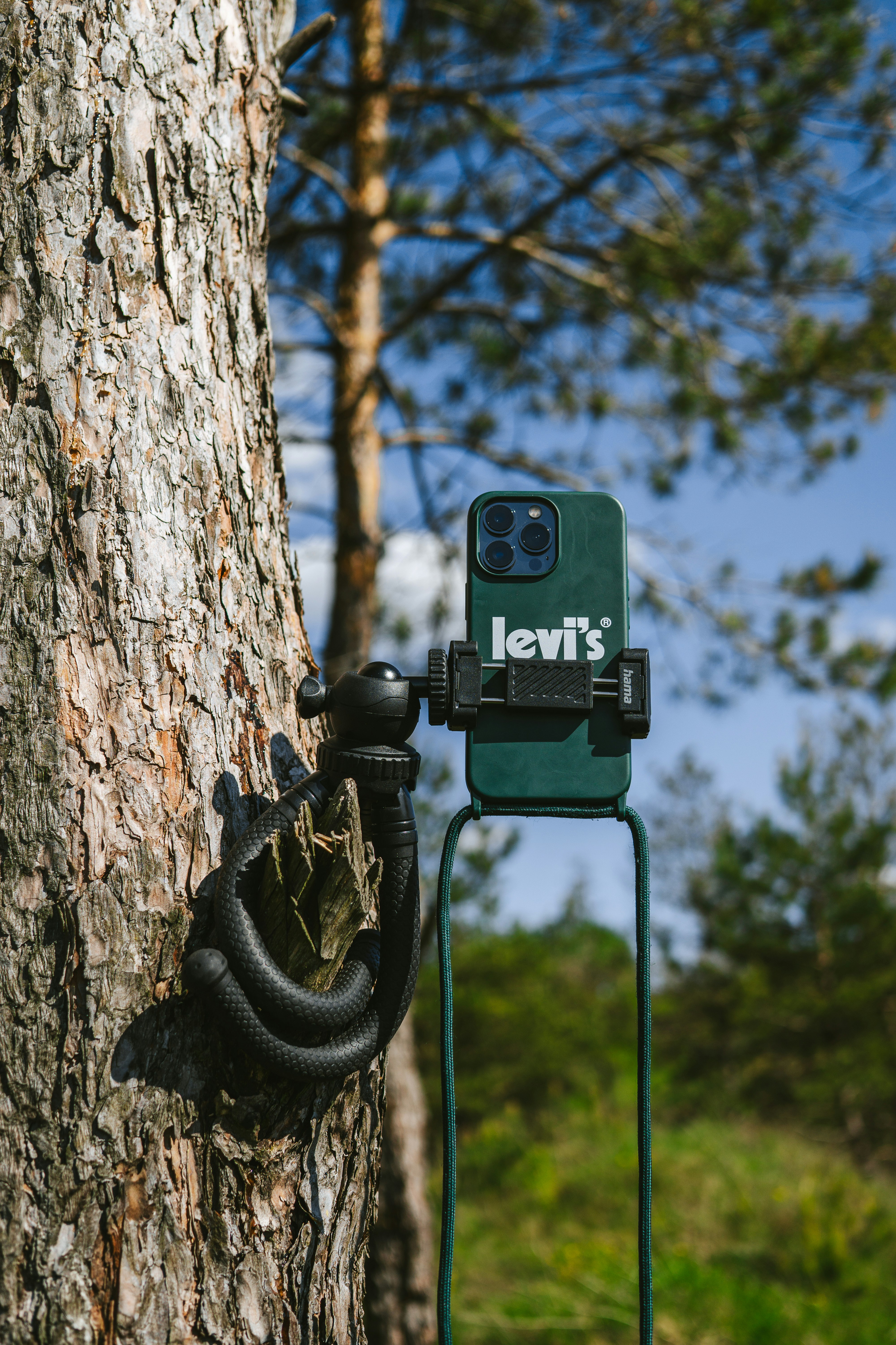A camera attached to a tree in the woods