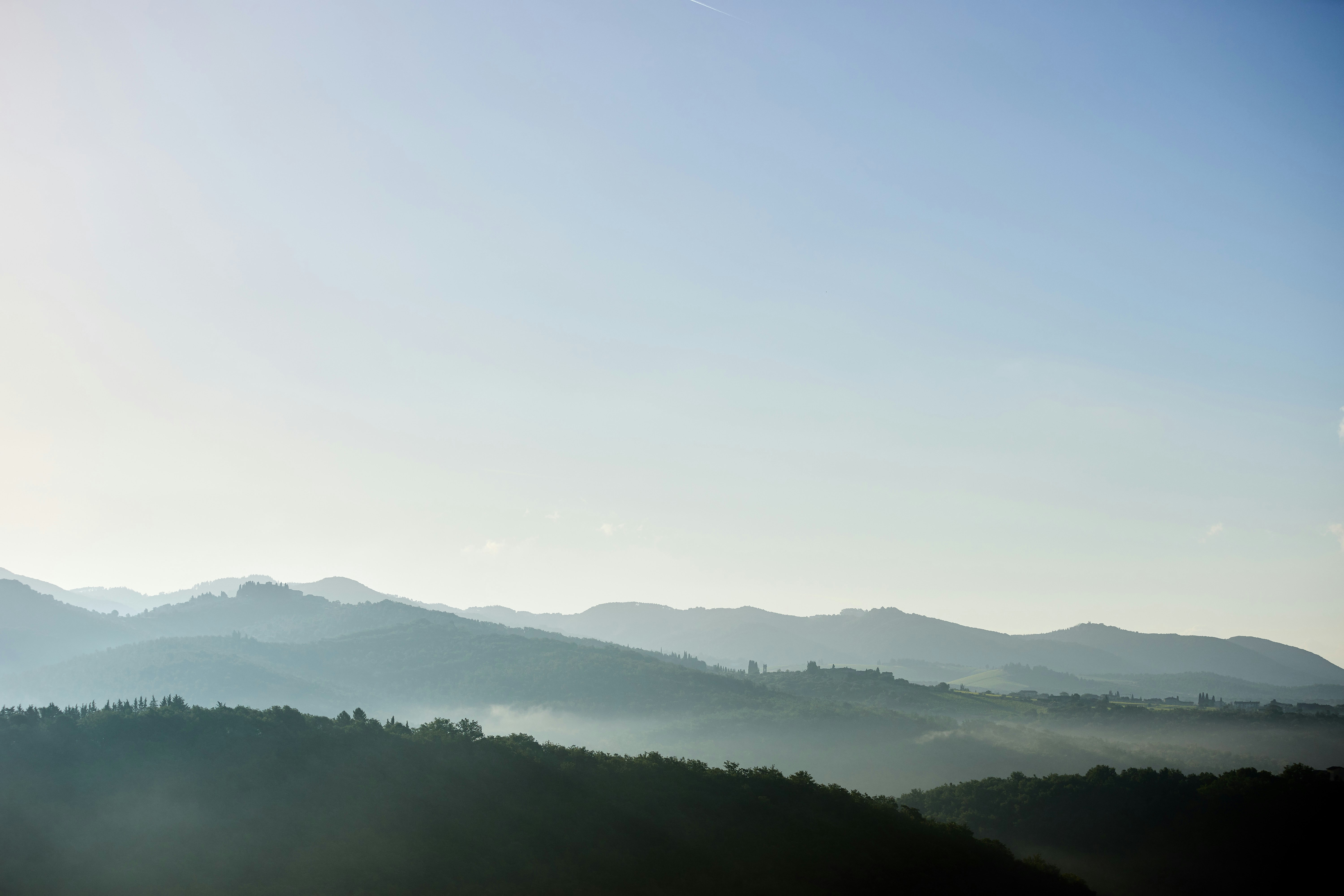 Photo by wolfgang_hasselmann