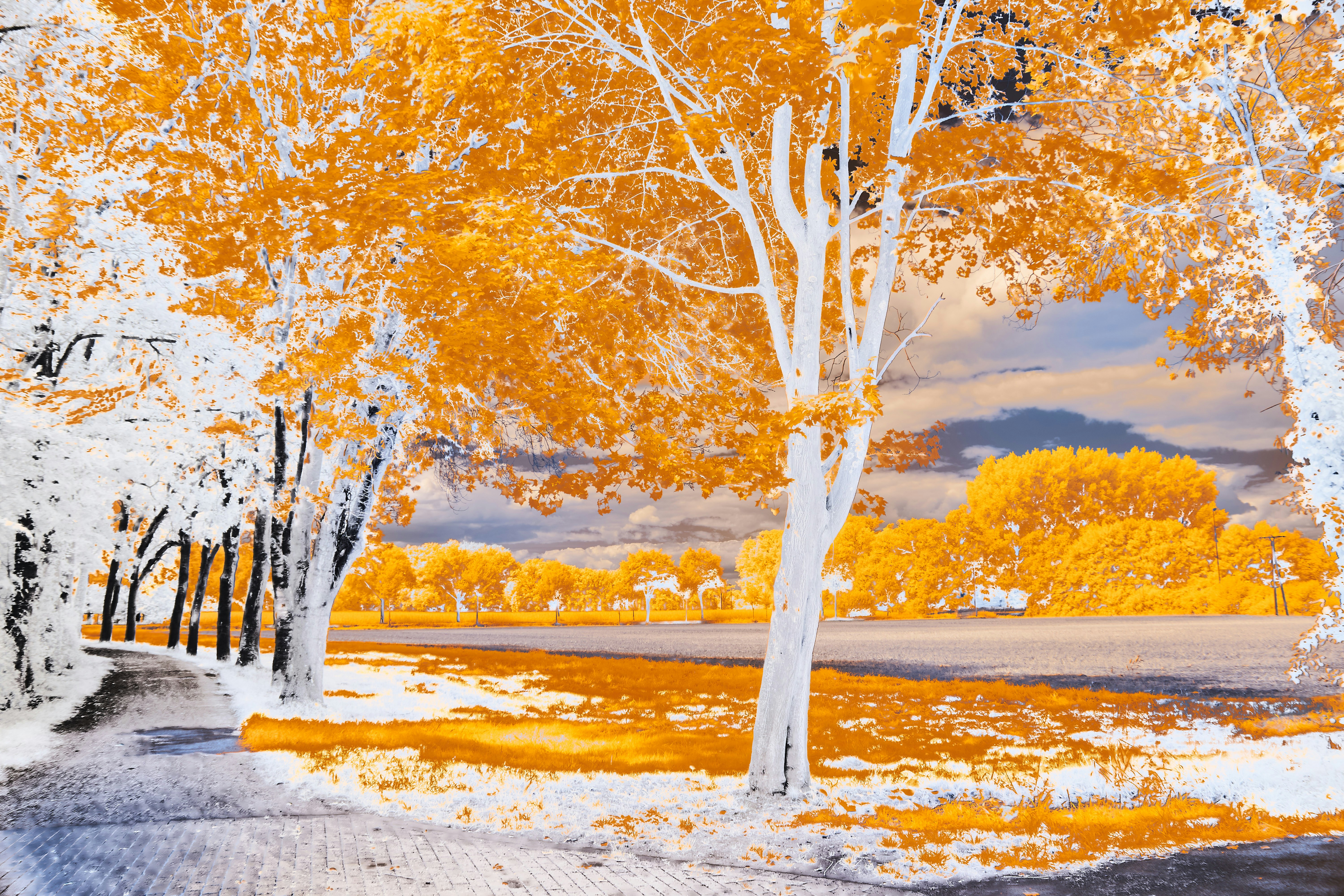 Photo by wolfgang_hasselmann