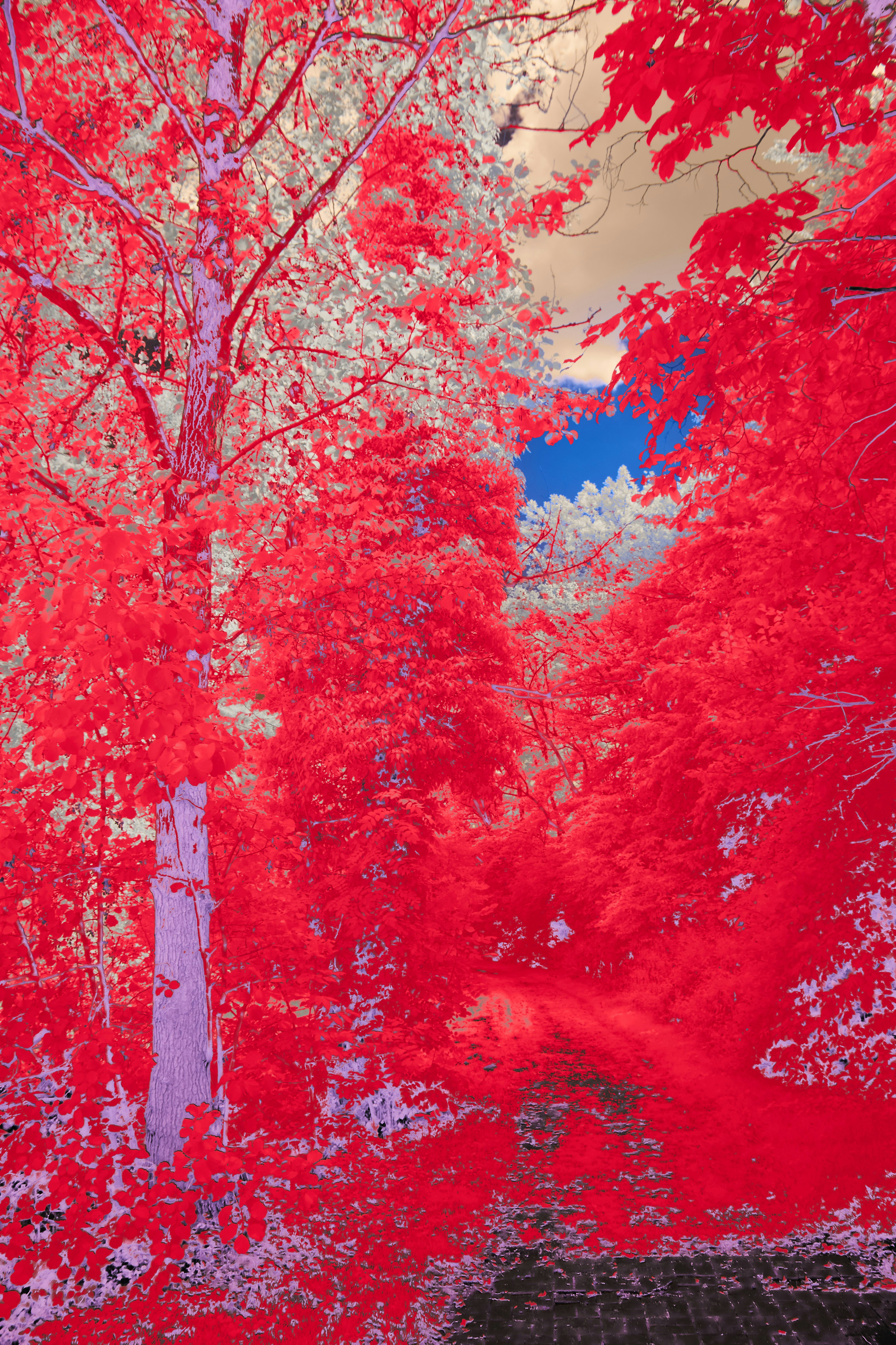 Photo by wolfgang_hasselmann