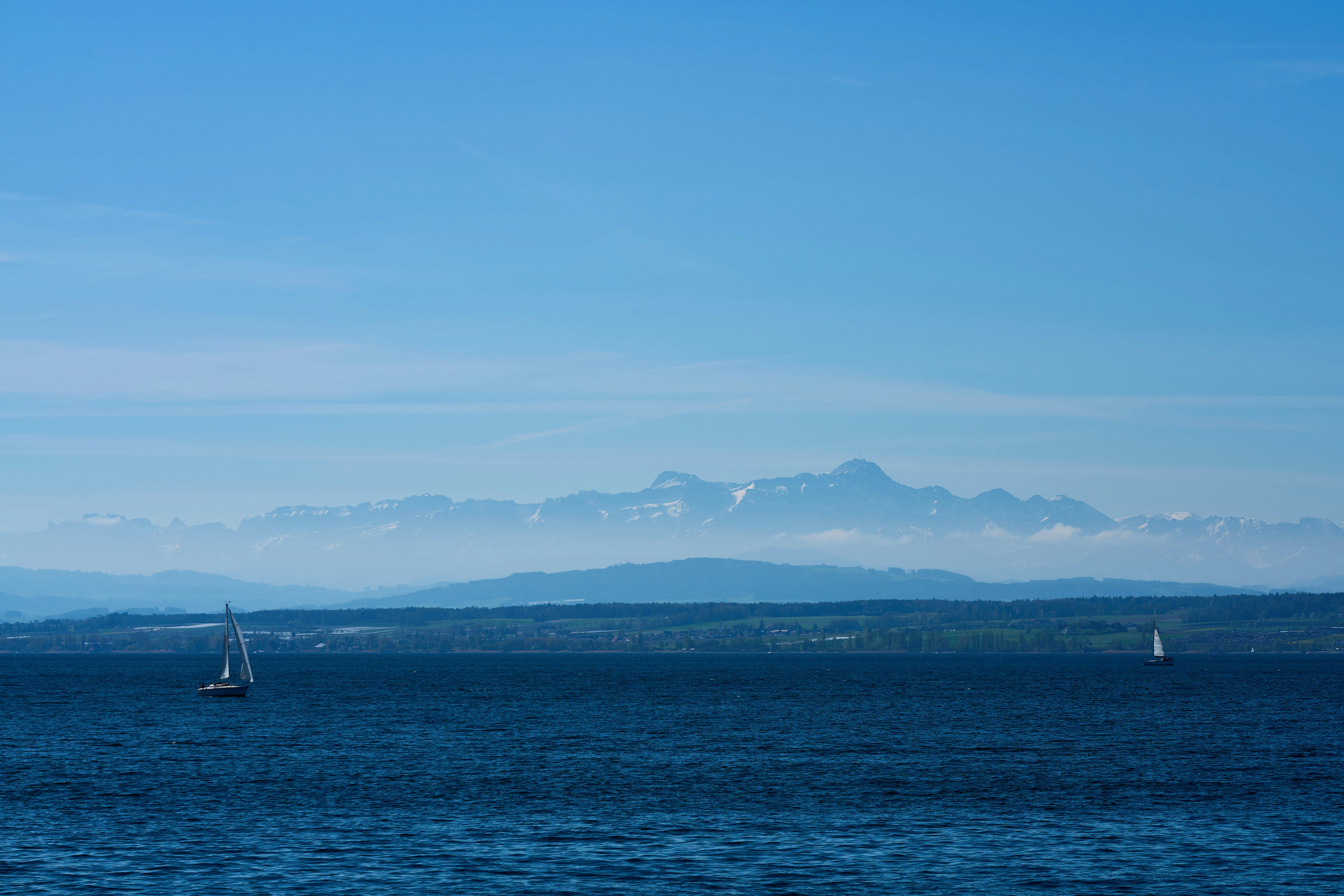 Photo by wolfgang_hasselmann