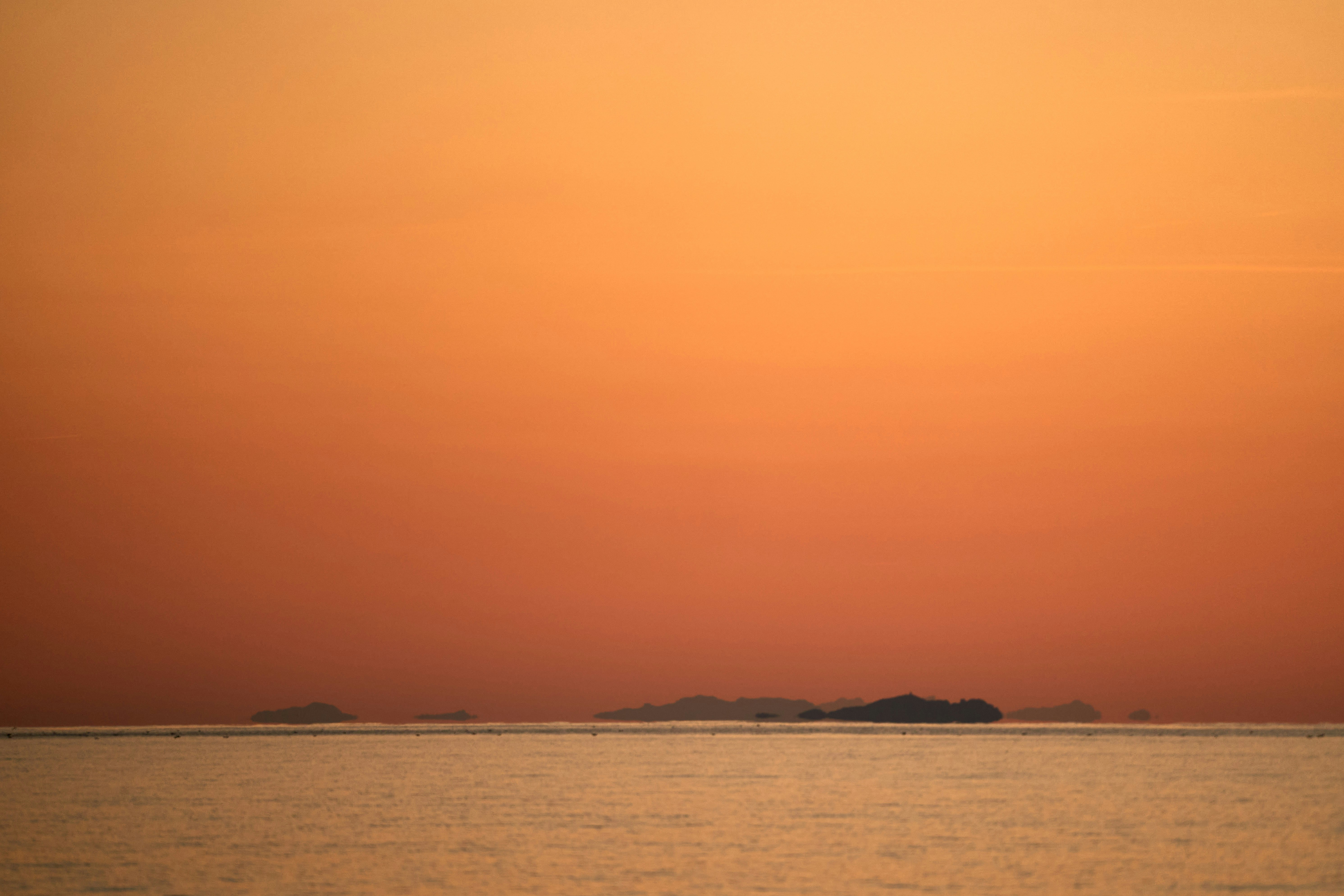 Photo by wolfgang_hasselmann