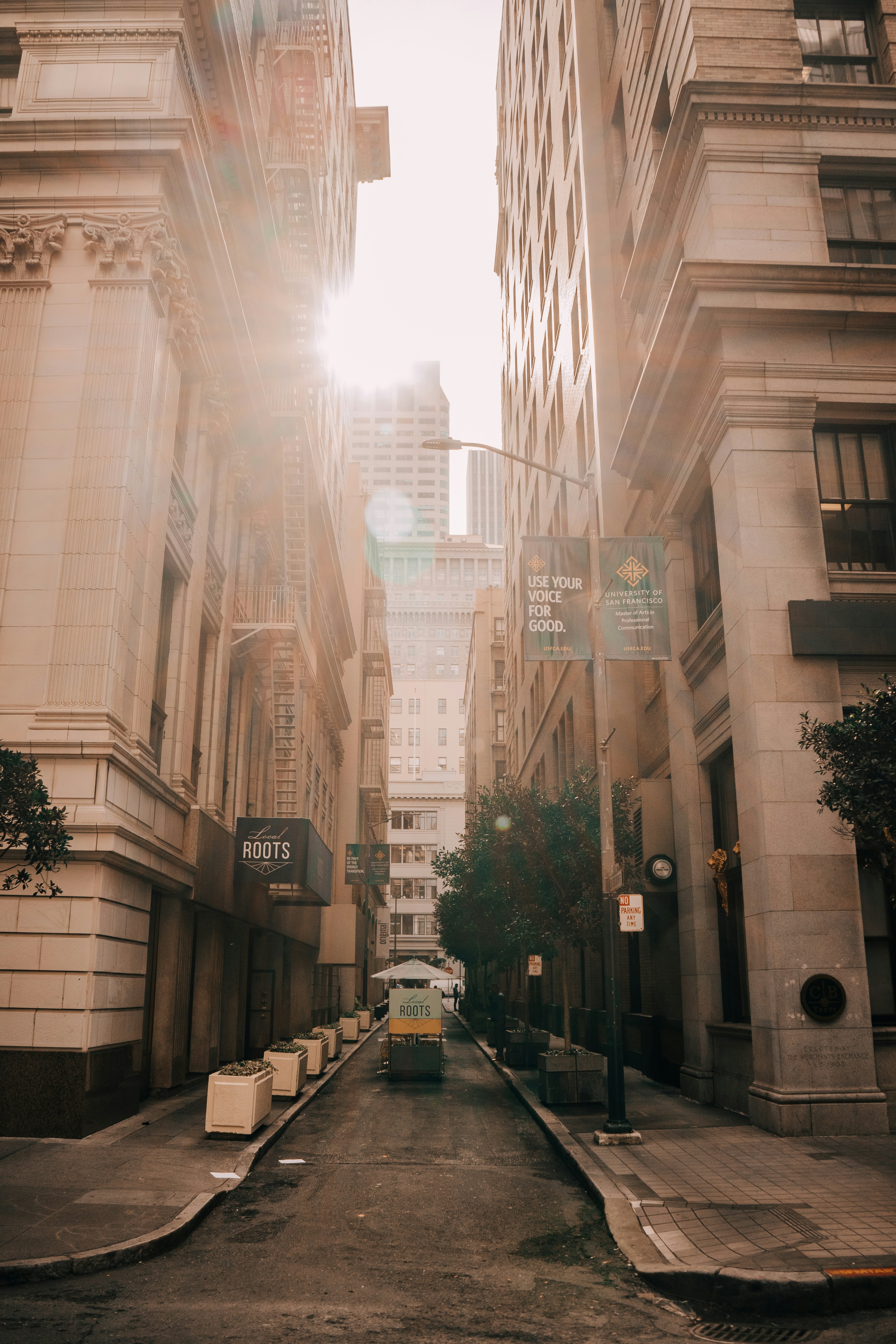 North Beach: Italian Heritage Meets Literary Legacy