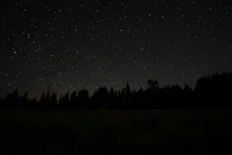 Dark night sky with stars over a quiet tree line, cognitive shuffling for sleep and hypnagogia