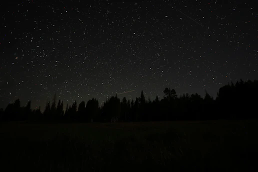 Dark night sky with stars over a quiet tree line, cognitive shuffling for sleep and hypnagogia