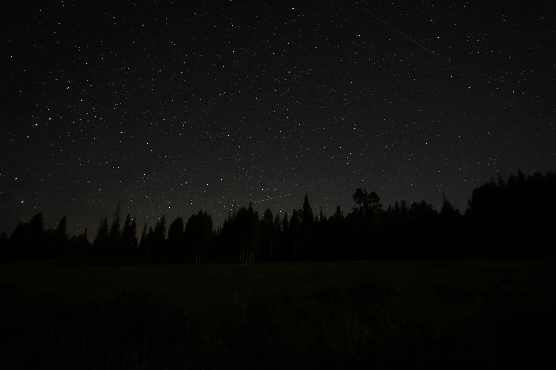 The night sky is filled with stars and trees