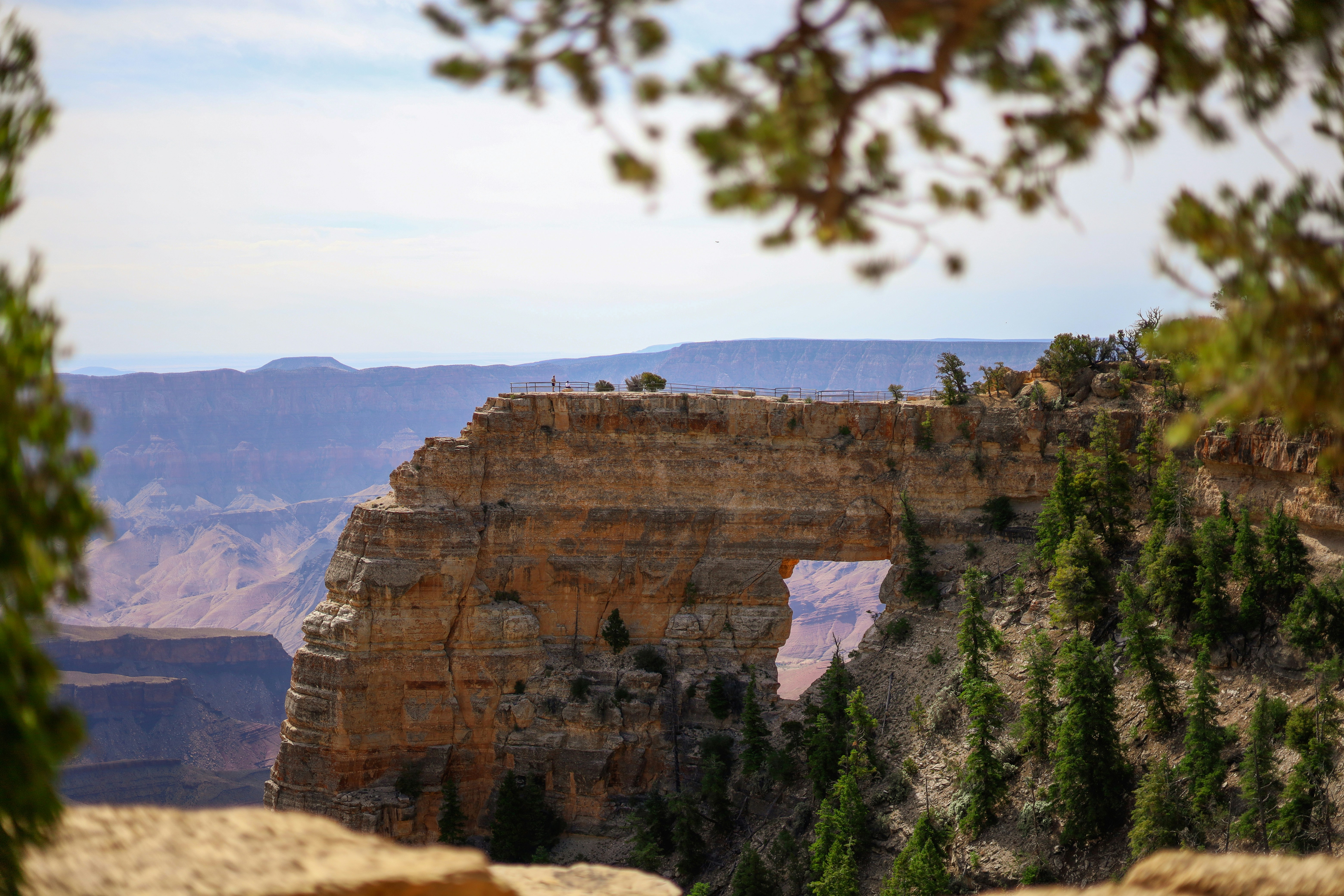 Grand Canyon travel photo