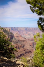 A view of the grand canyon from a trail