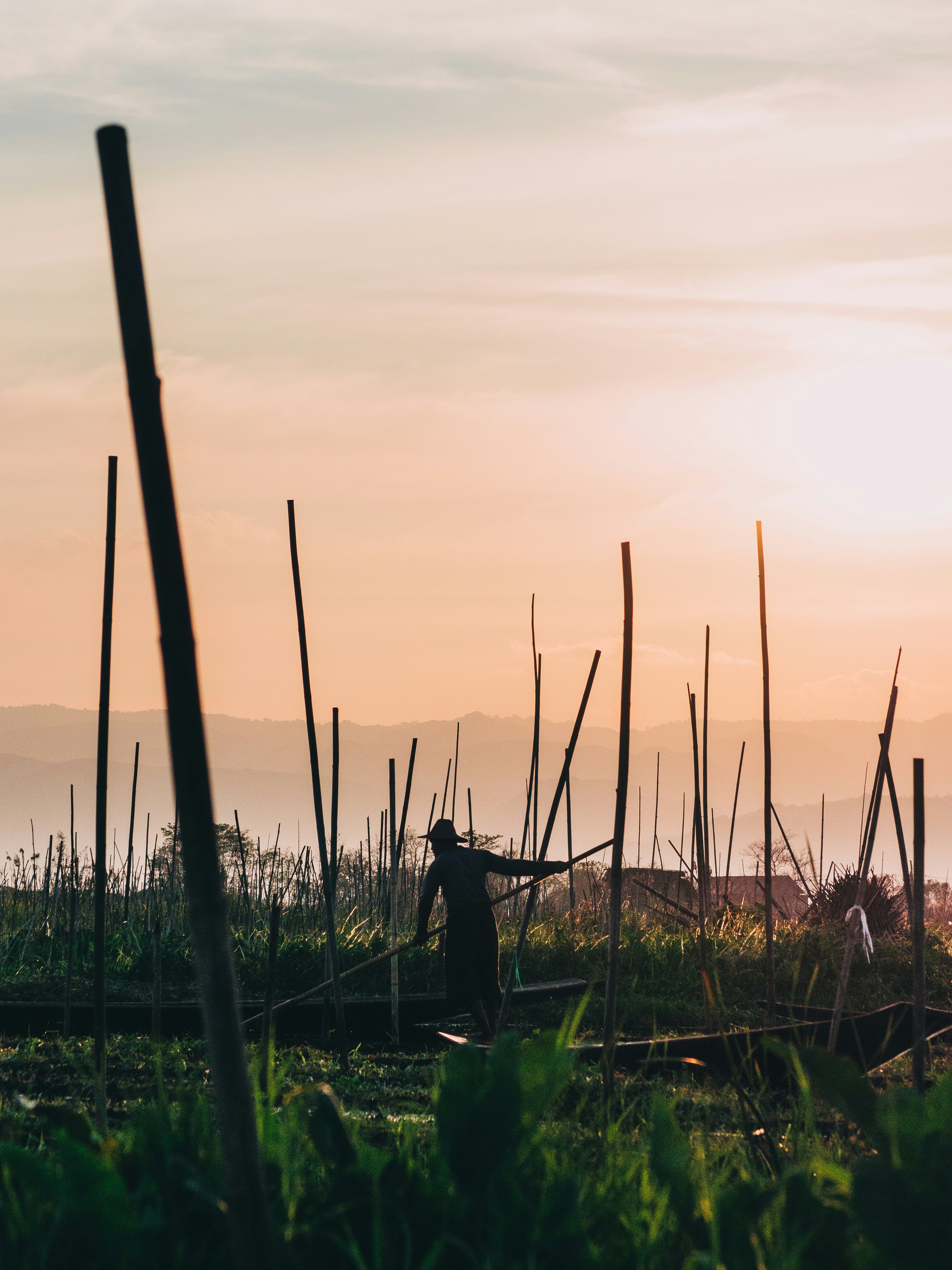 Photo by rockwell_branding_agency