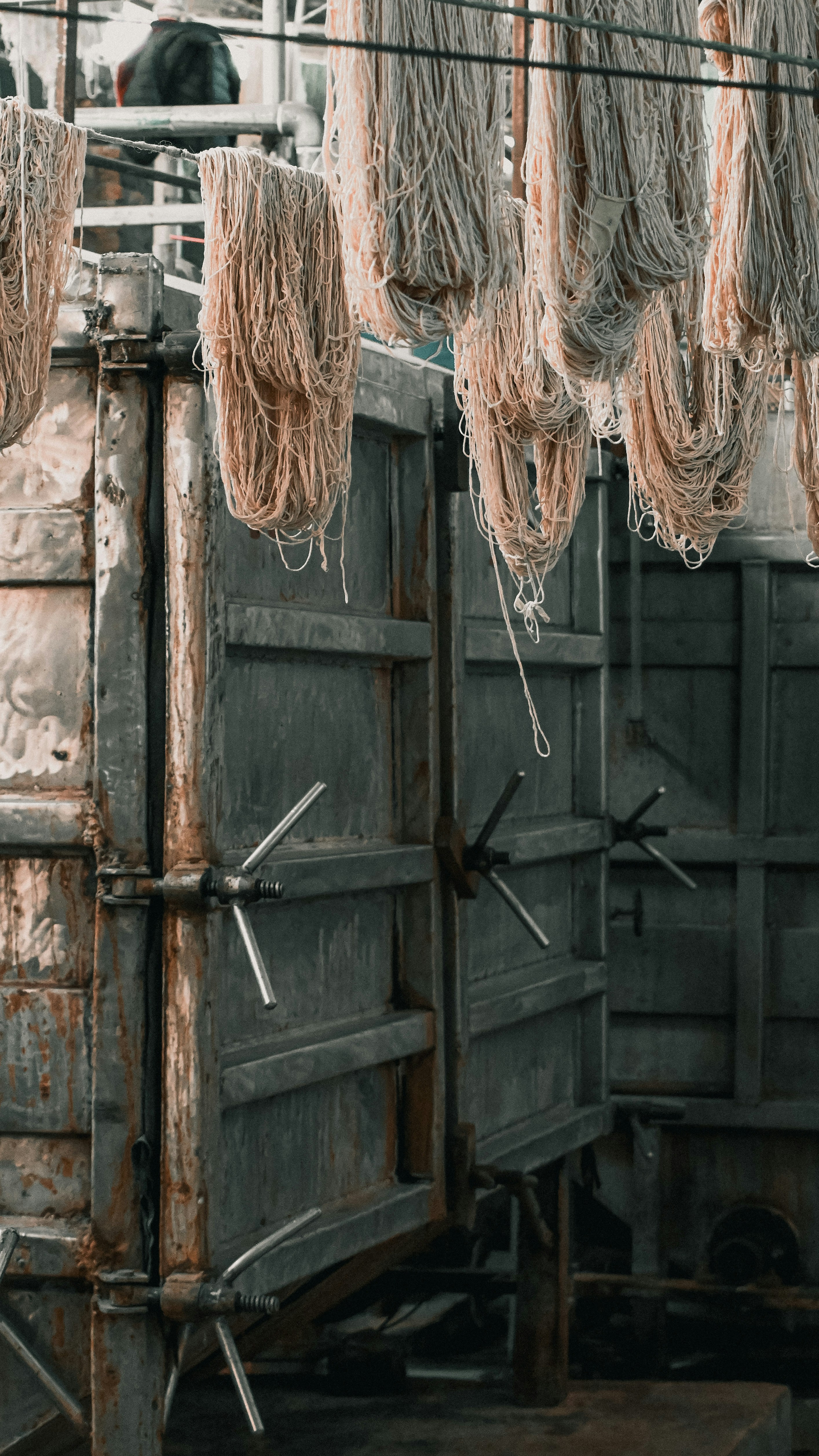 A bunch of meat hanging from a line