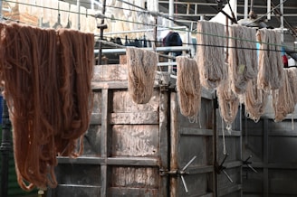 A bunch of meat hanging from a line