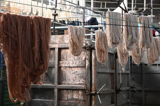 A bunch of meat hanging from a line