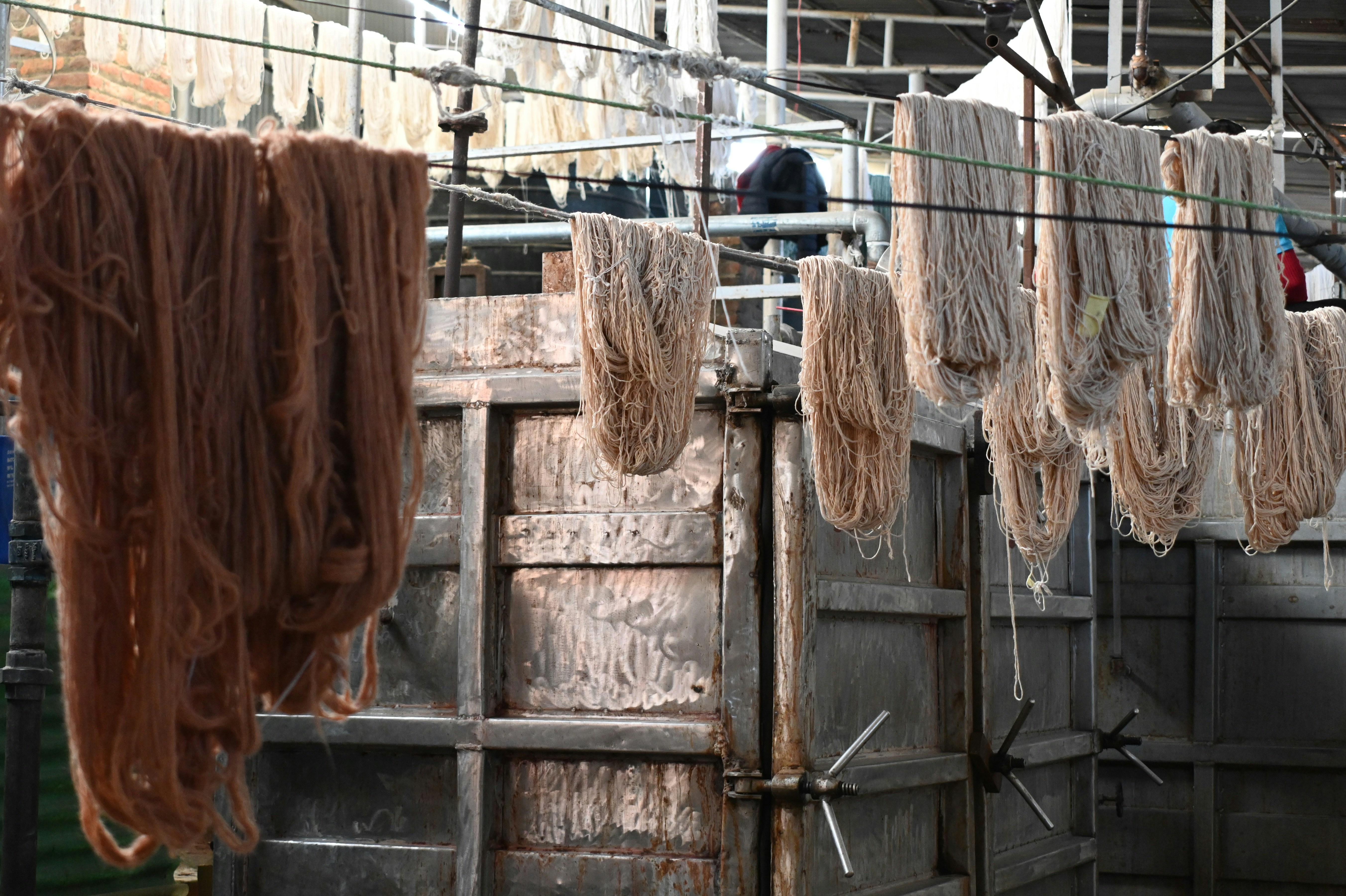 A bunch of meat hanging from a line