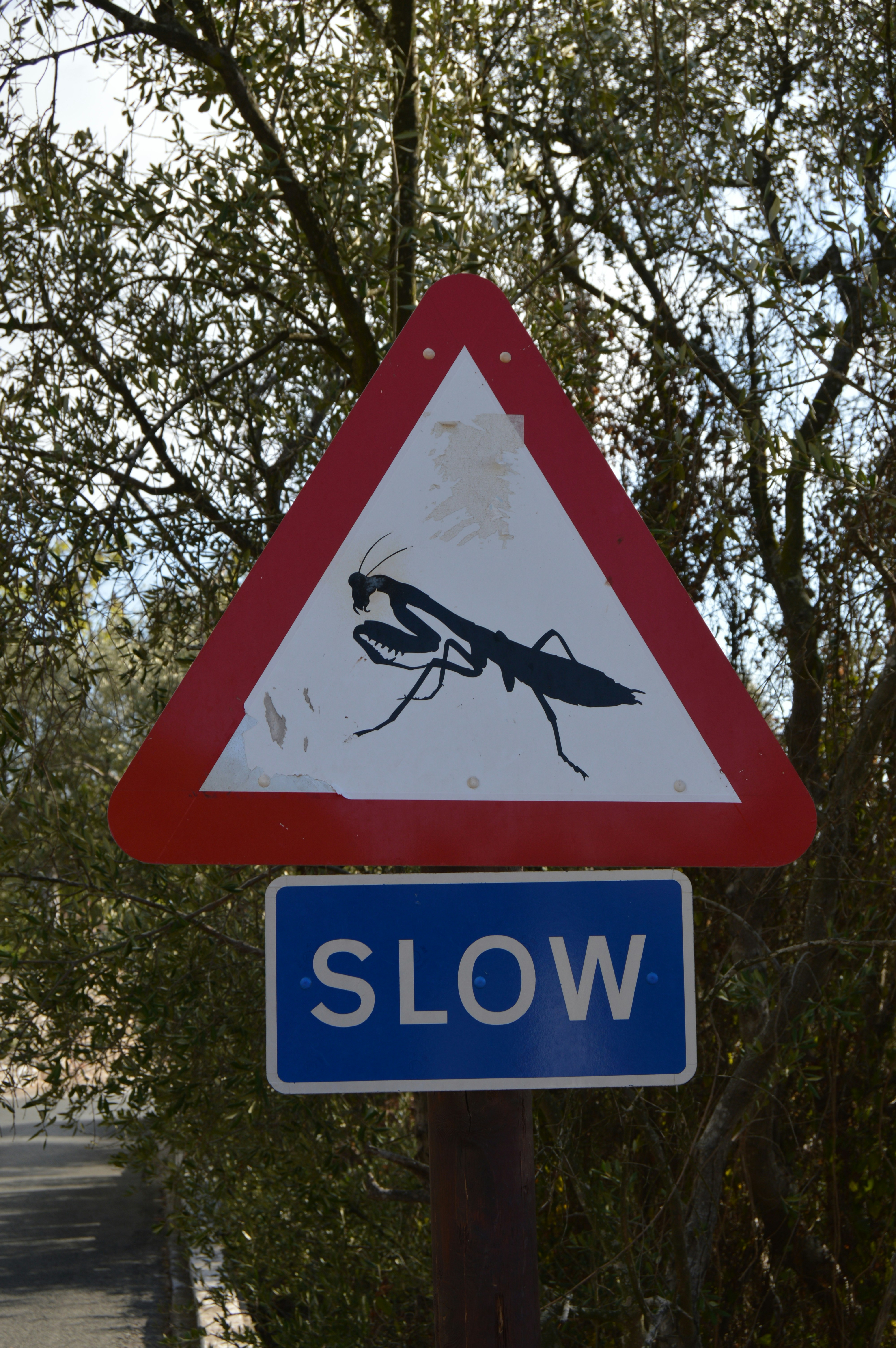 A street sign with a picture of a bug on it photo – Free Gibraltar ...