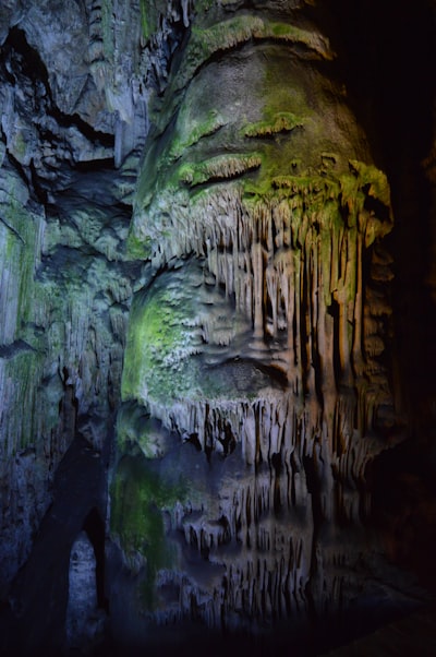 Neanderthal Inhabitants