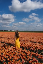 A woman in a yellow dress standing in a field of orange flowers