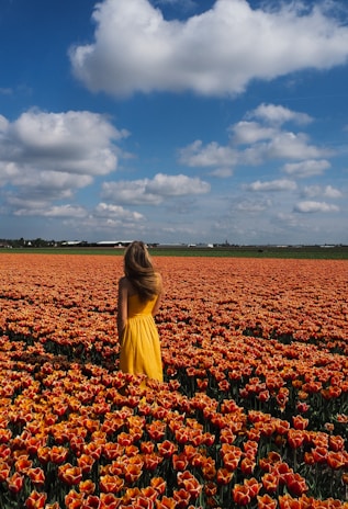 A woman in a yellow dress standing in a field of orange flowers