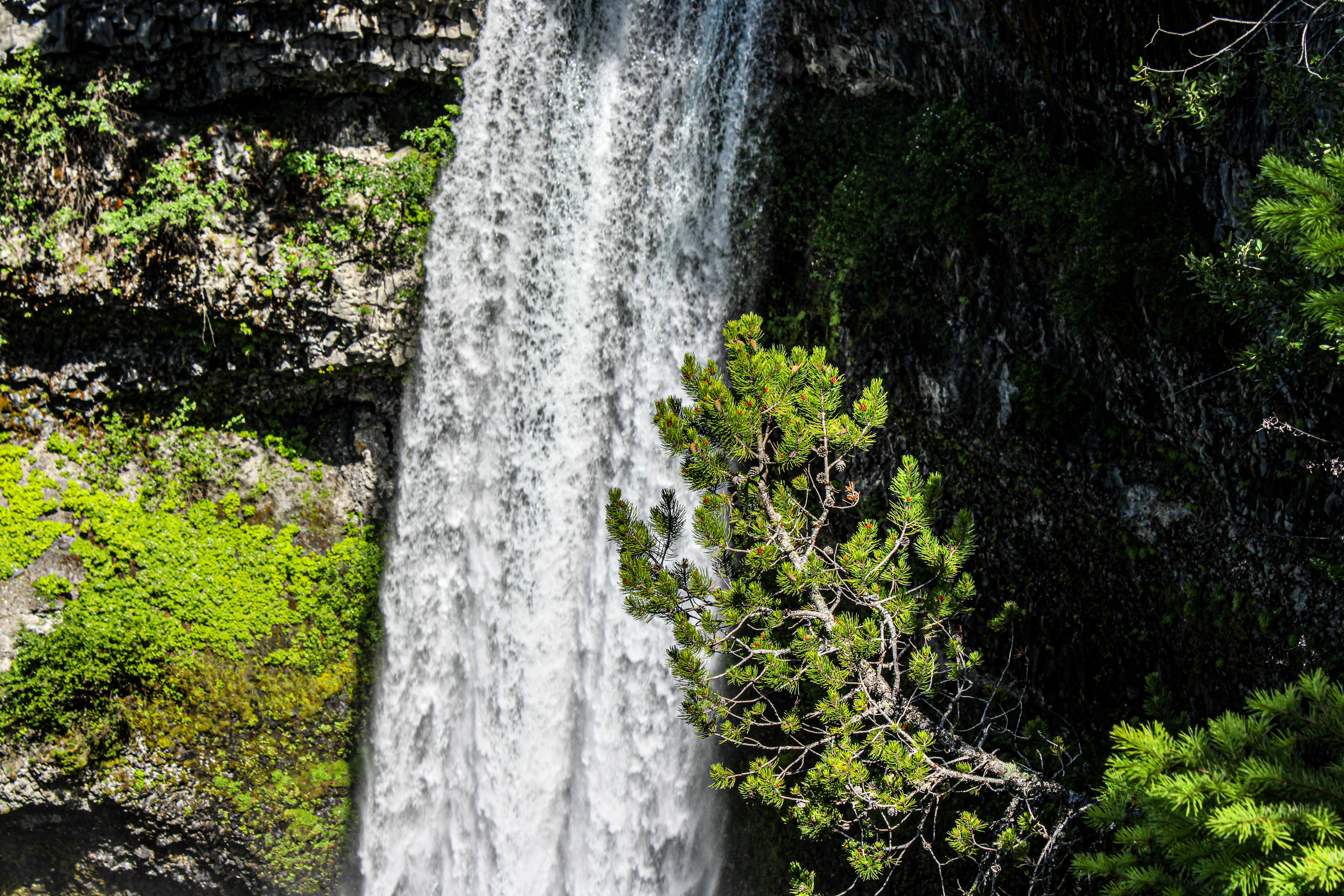 Photo by prphotography262