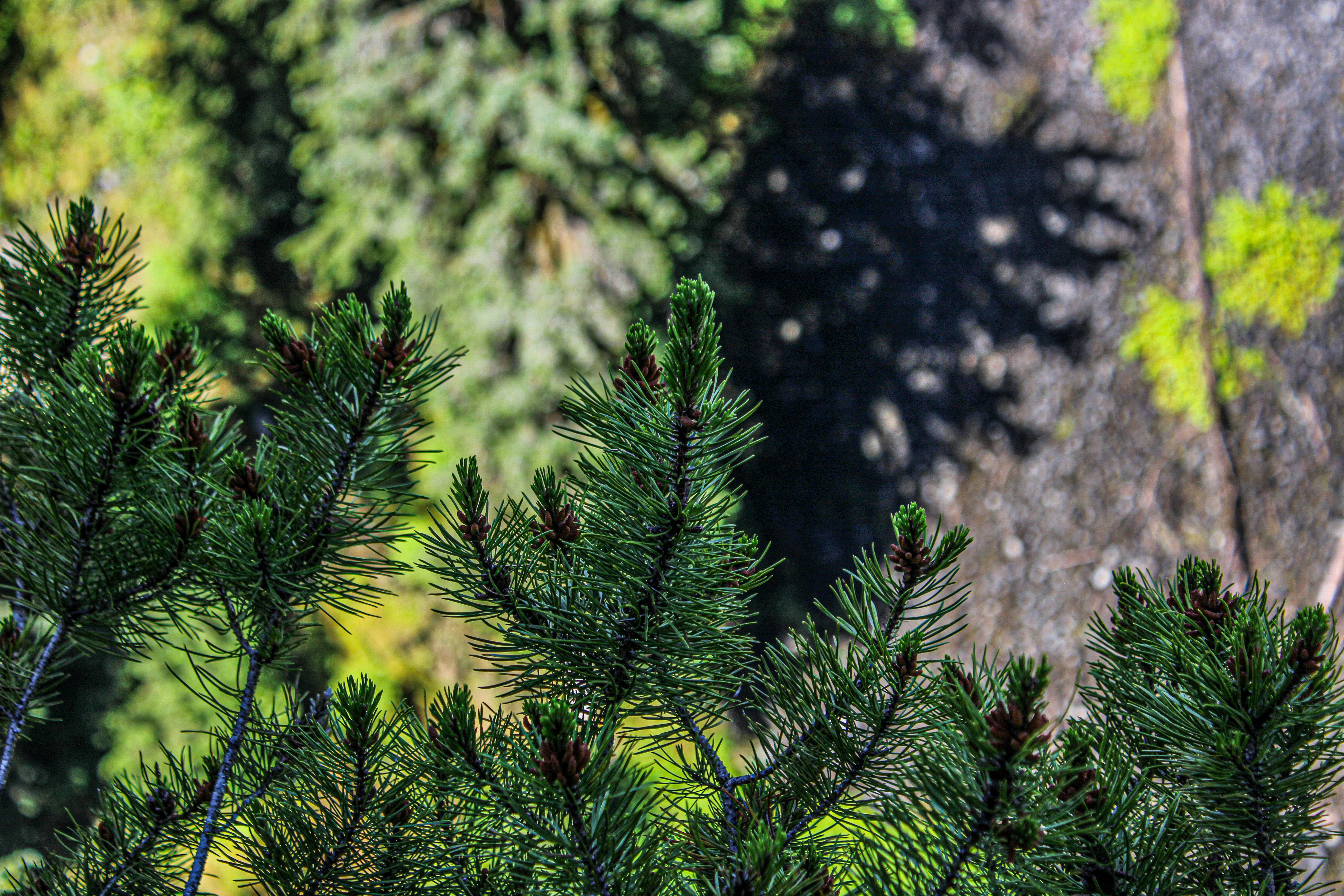 Photo by prphotography262