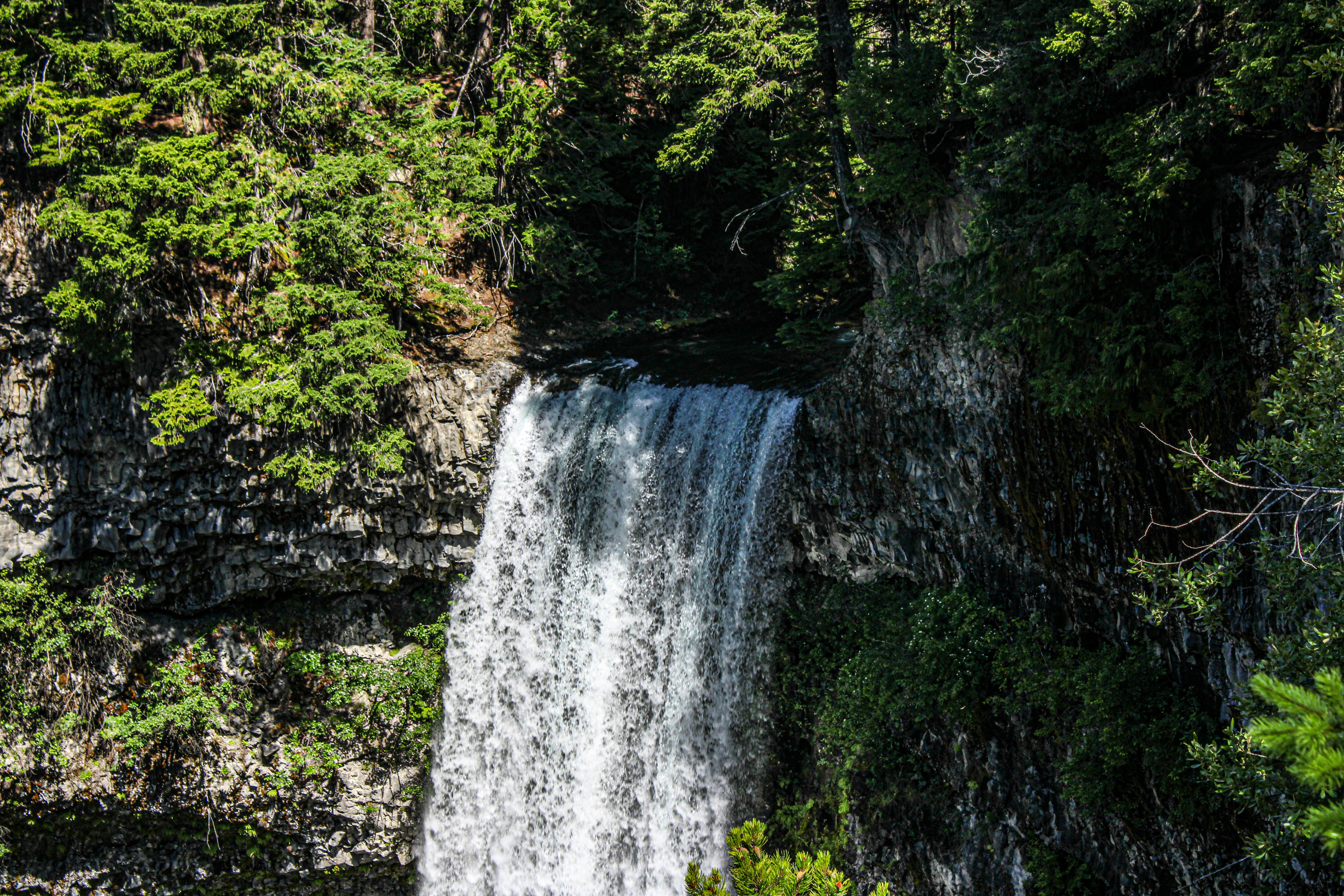 Photo by prphotography262