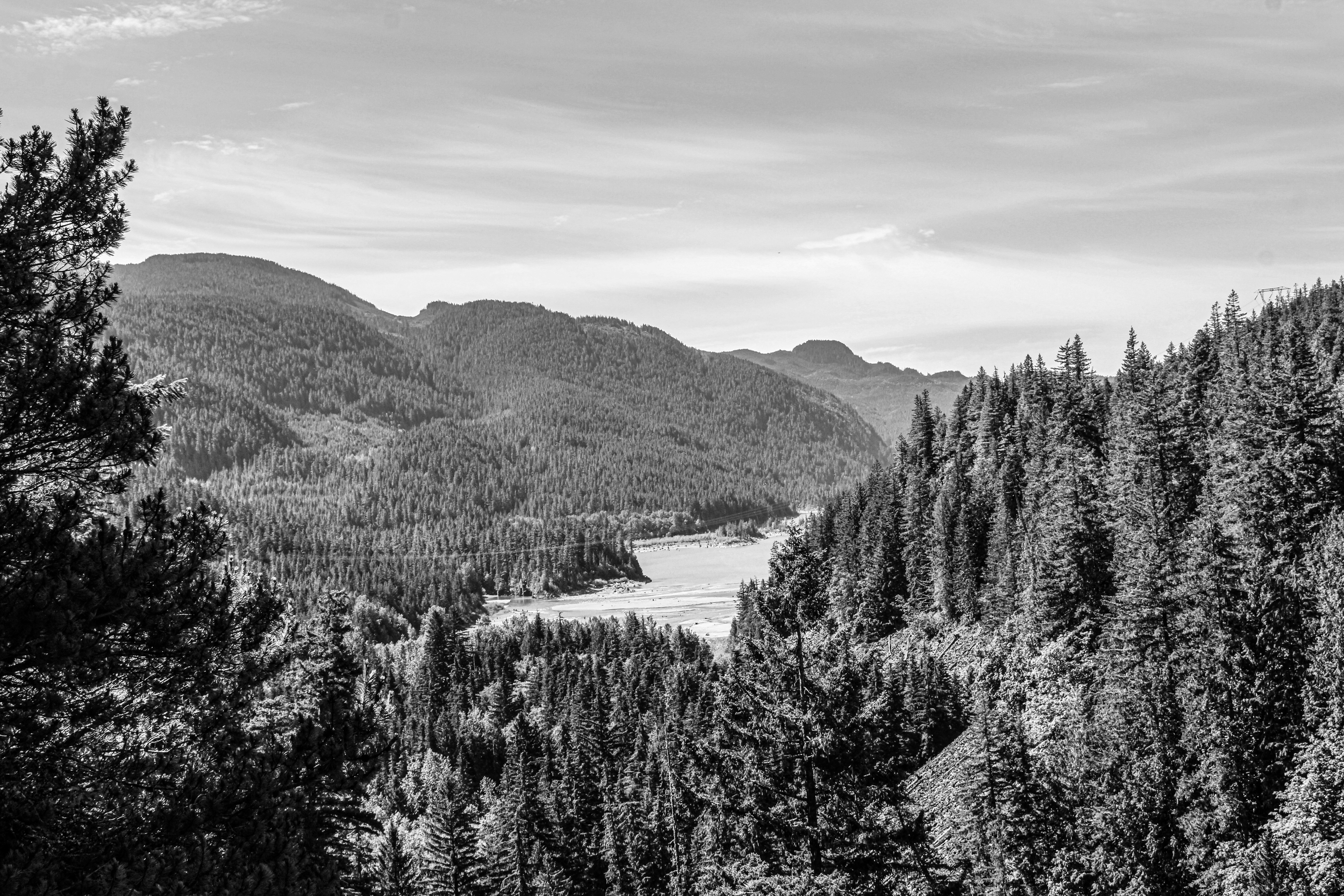 Photo by prphotography262