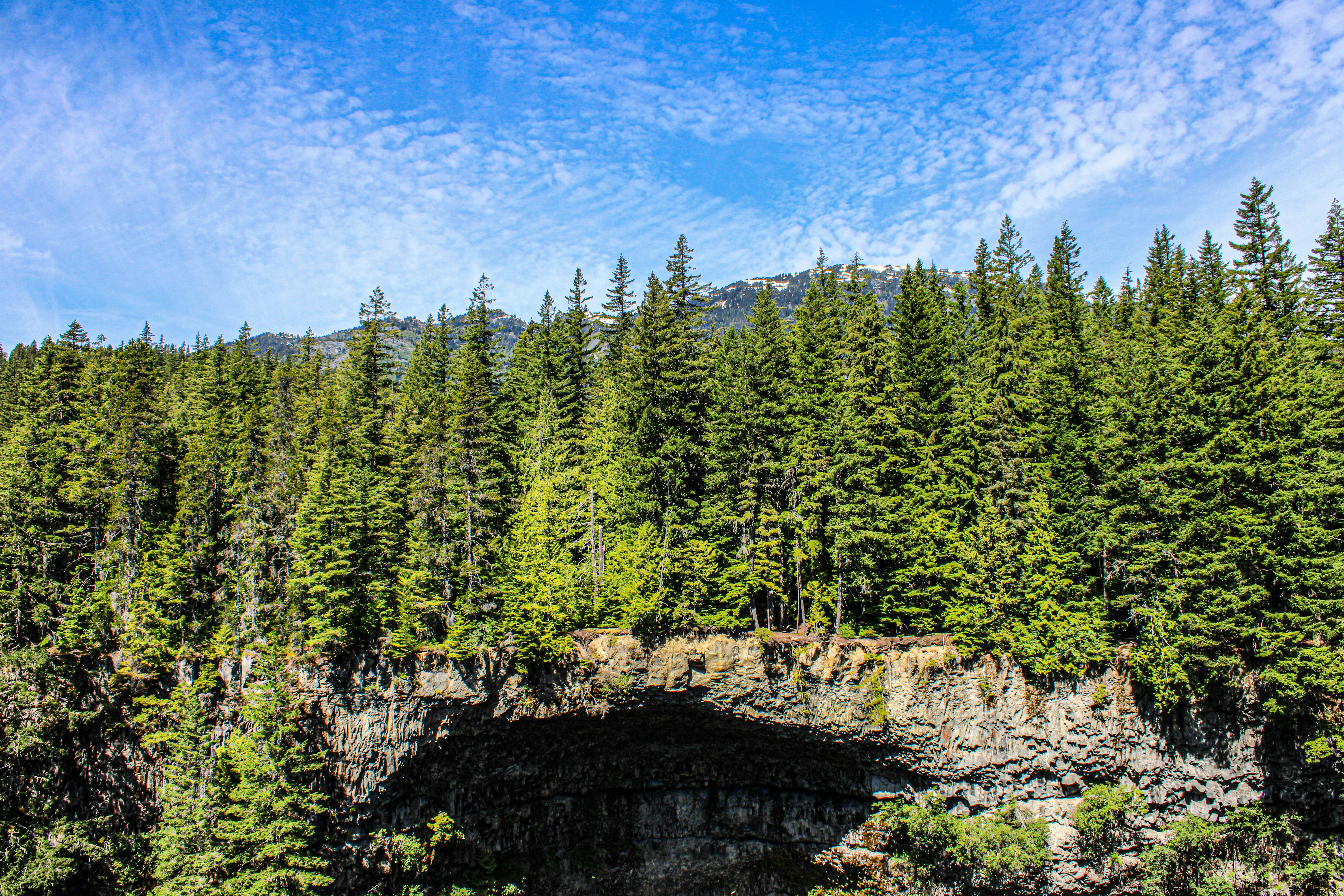 Photo by prphotography262