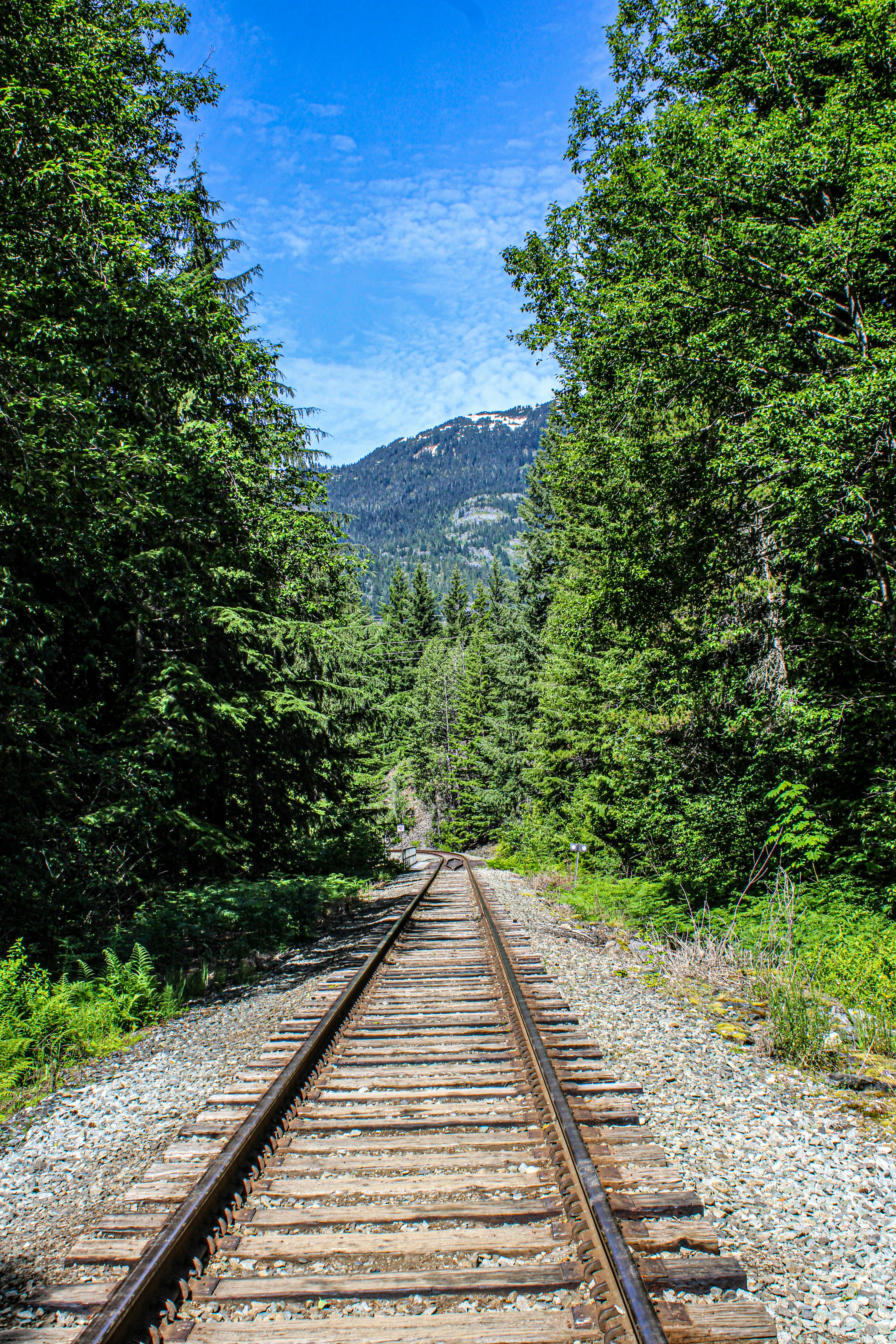 Photo by prphotography262