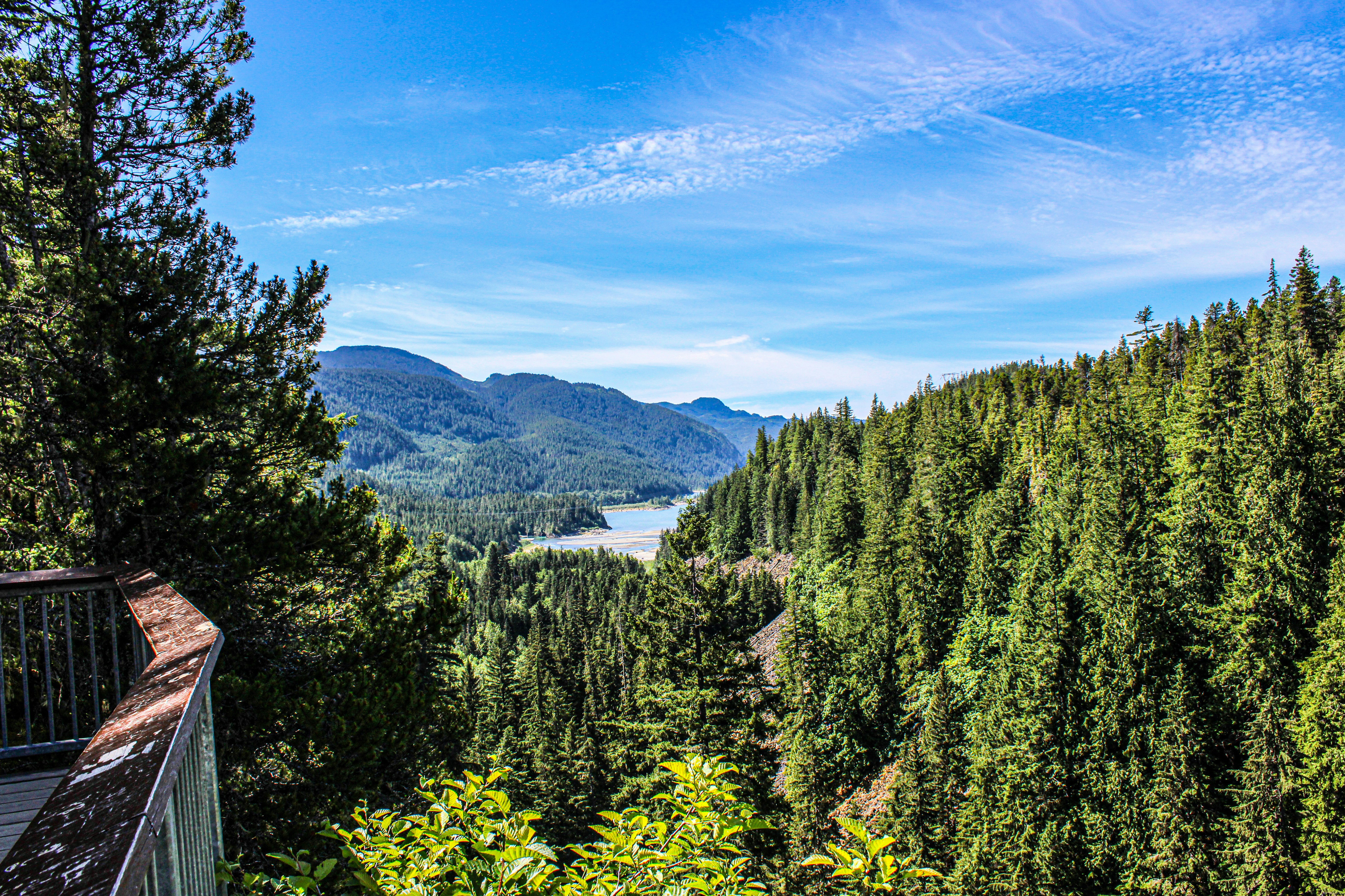 Photo by prphotography262