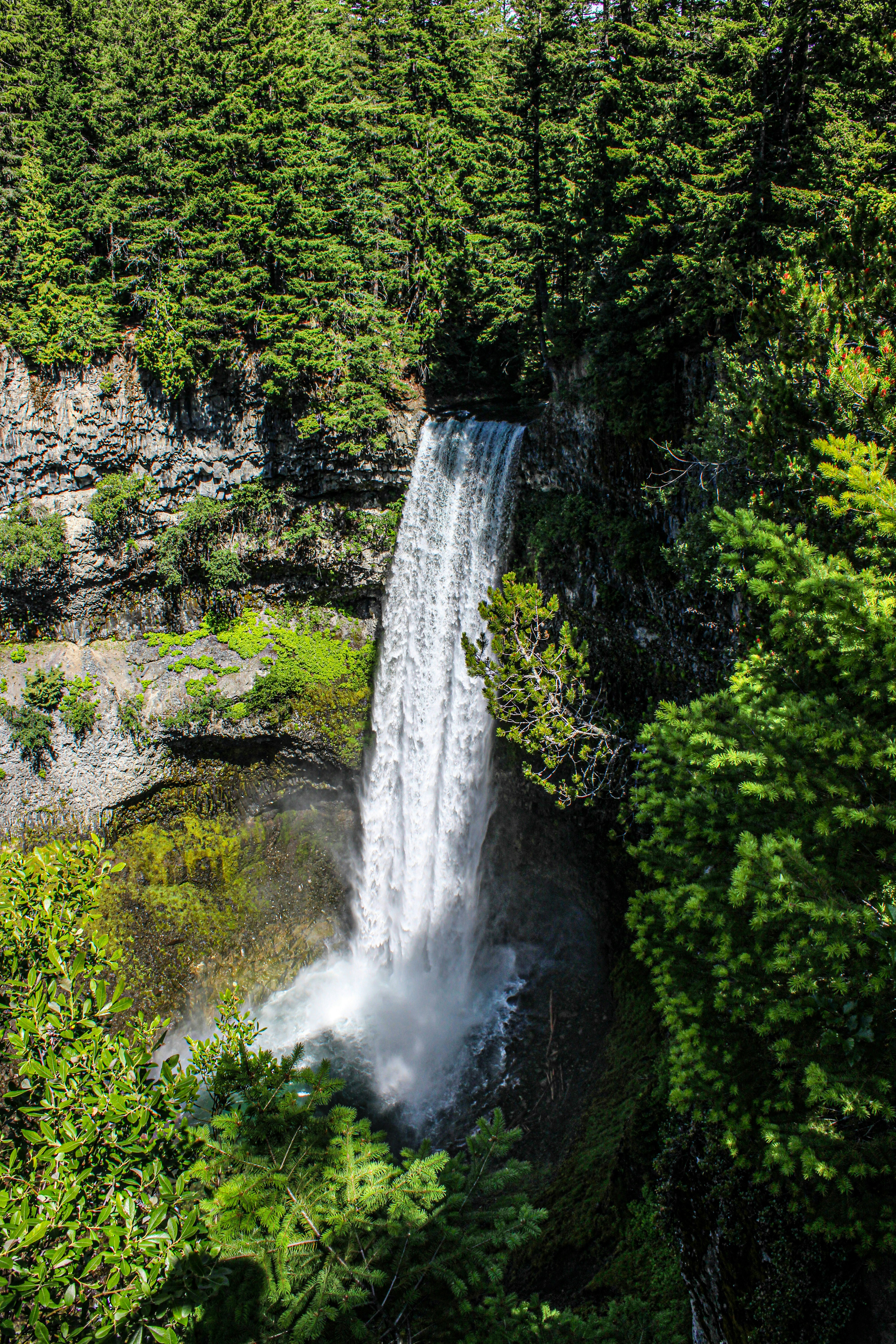 Photo by prphotography262