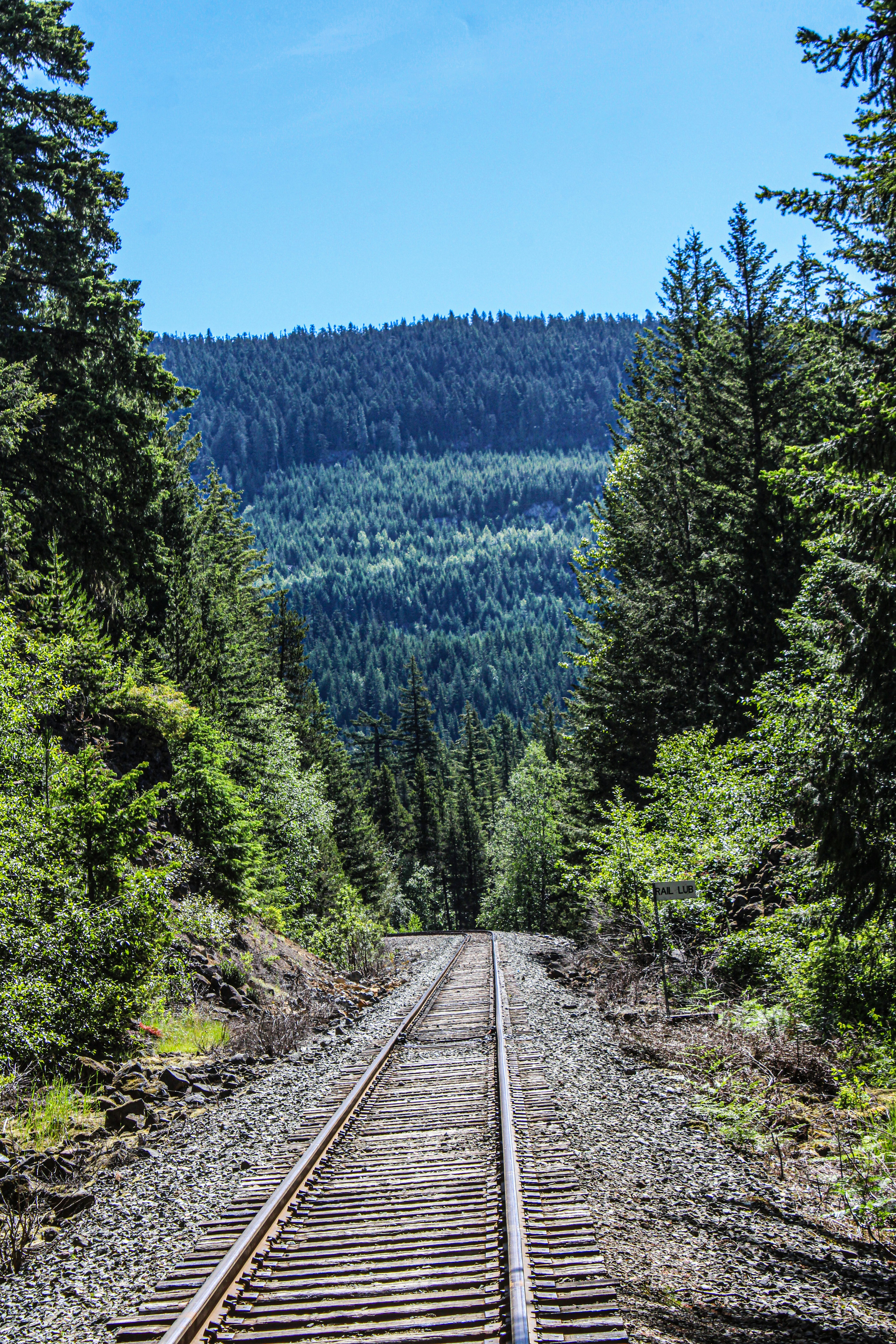 Photo by prphotography262