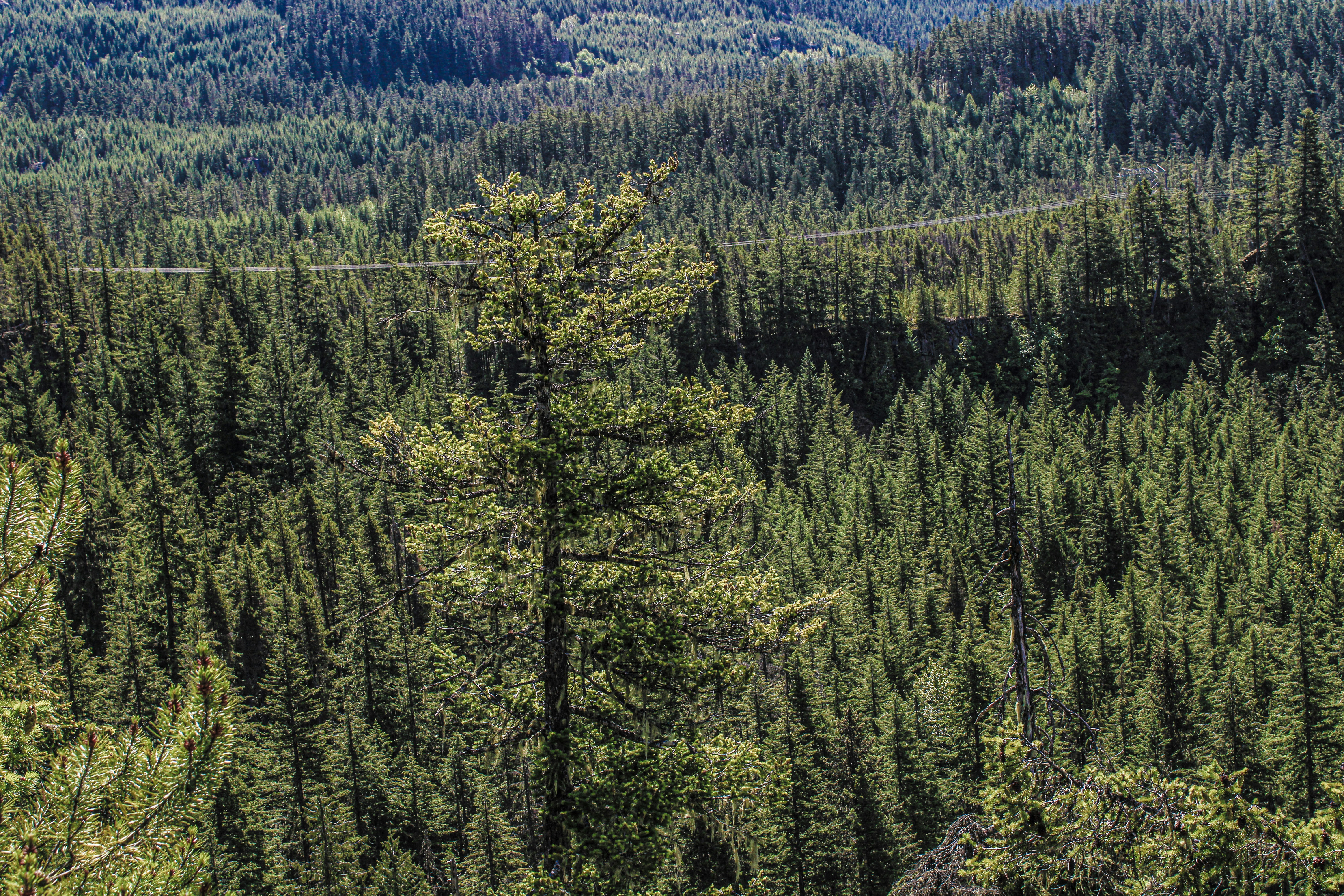 Photo by prphotography262