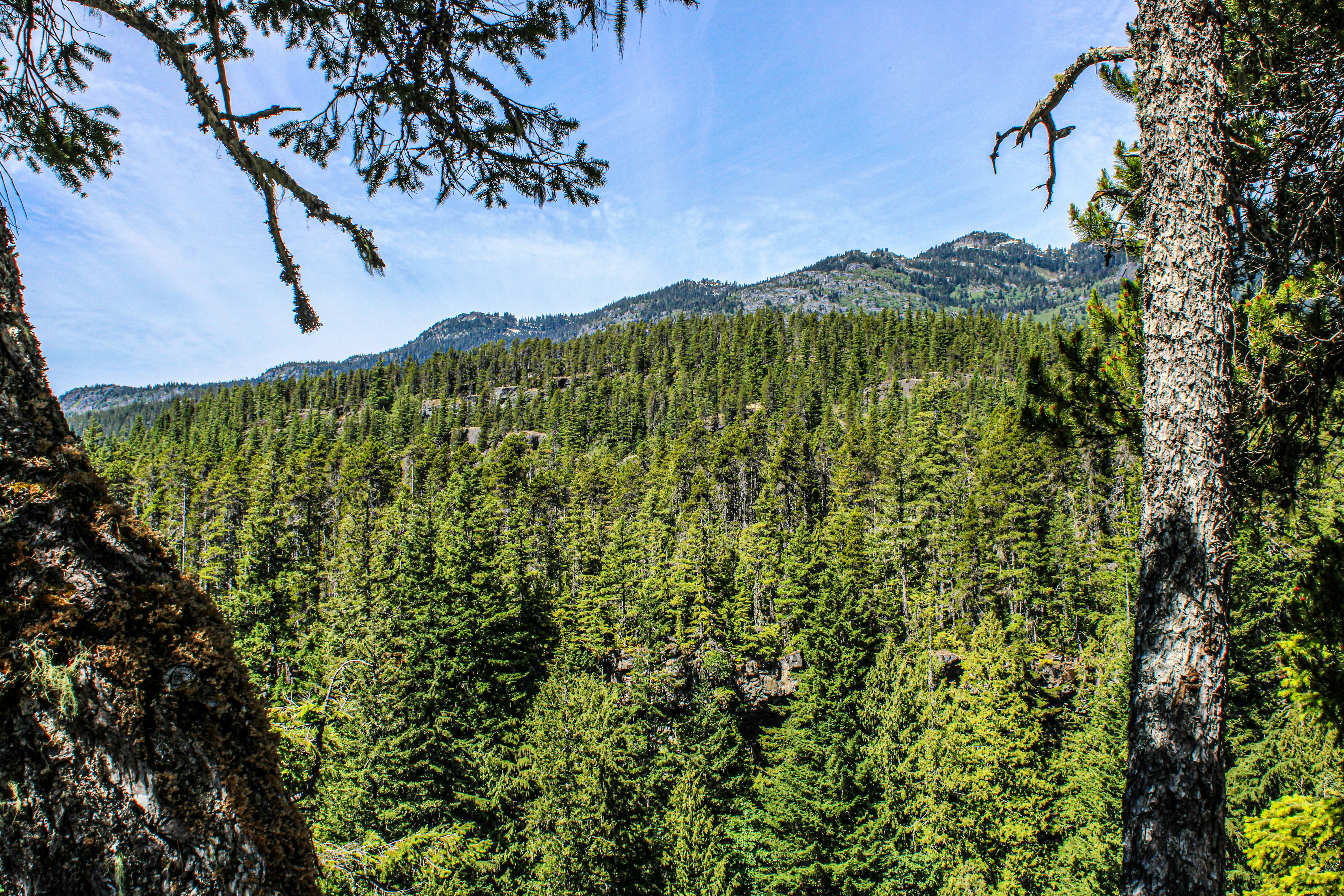 Photo by prphotography262