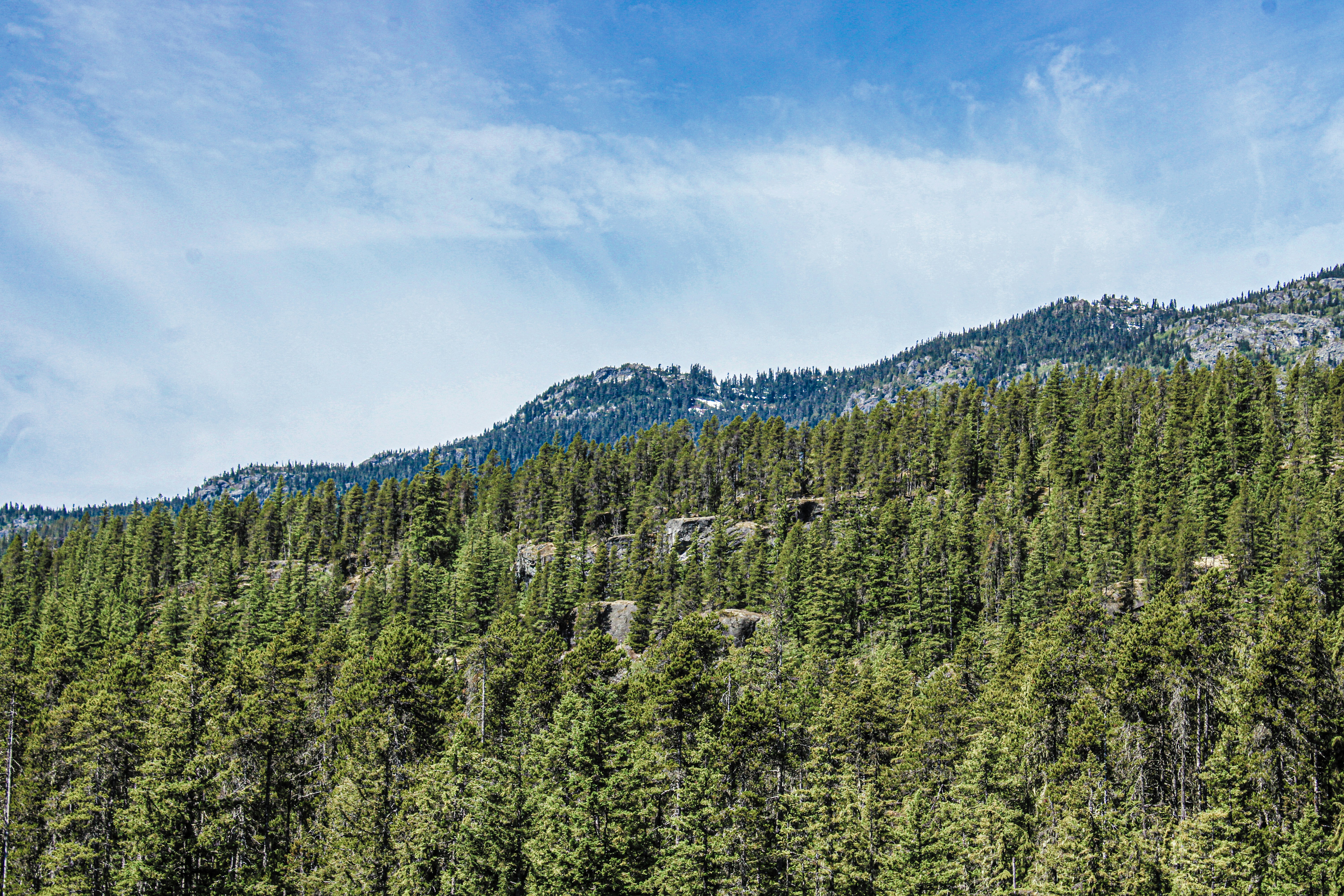 Photo by prphotography262