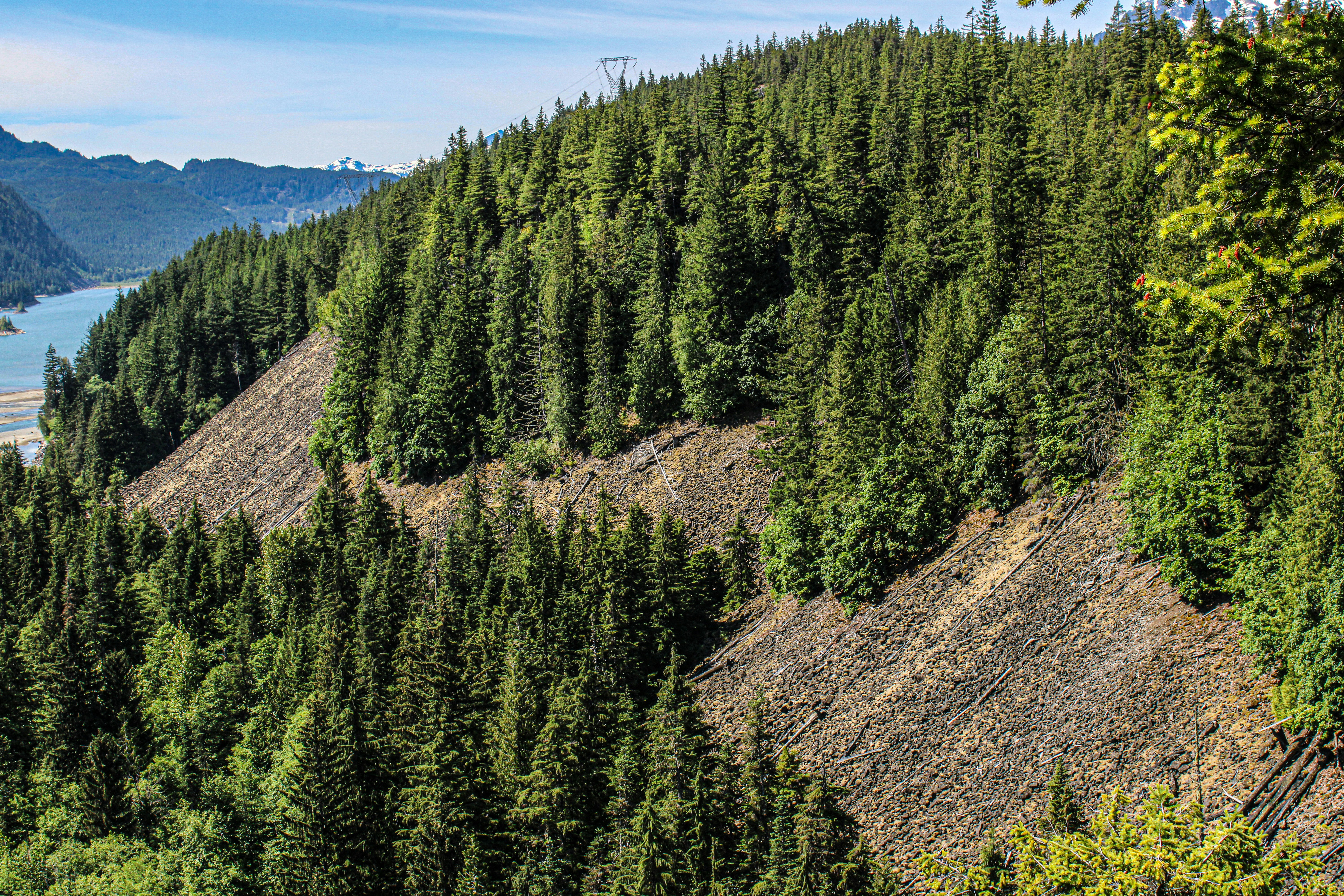 Photo by prphotography262