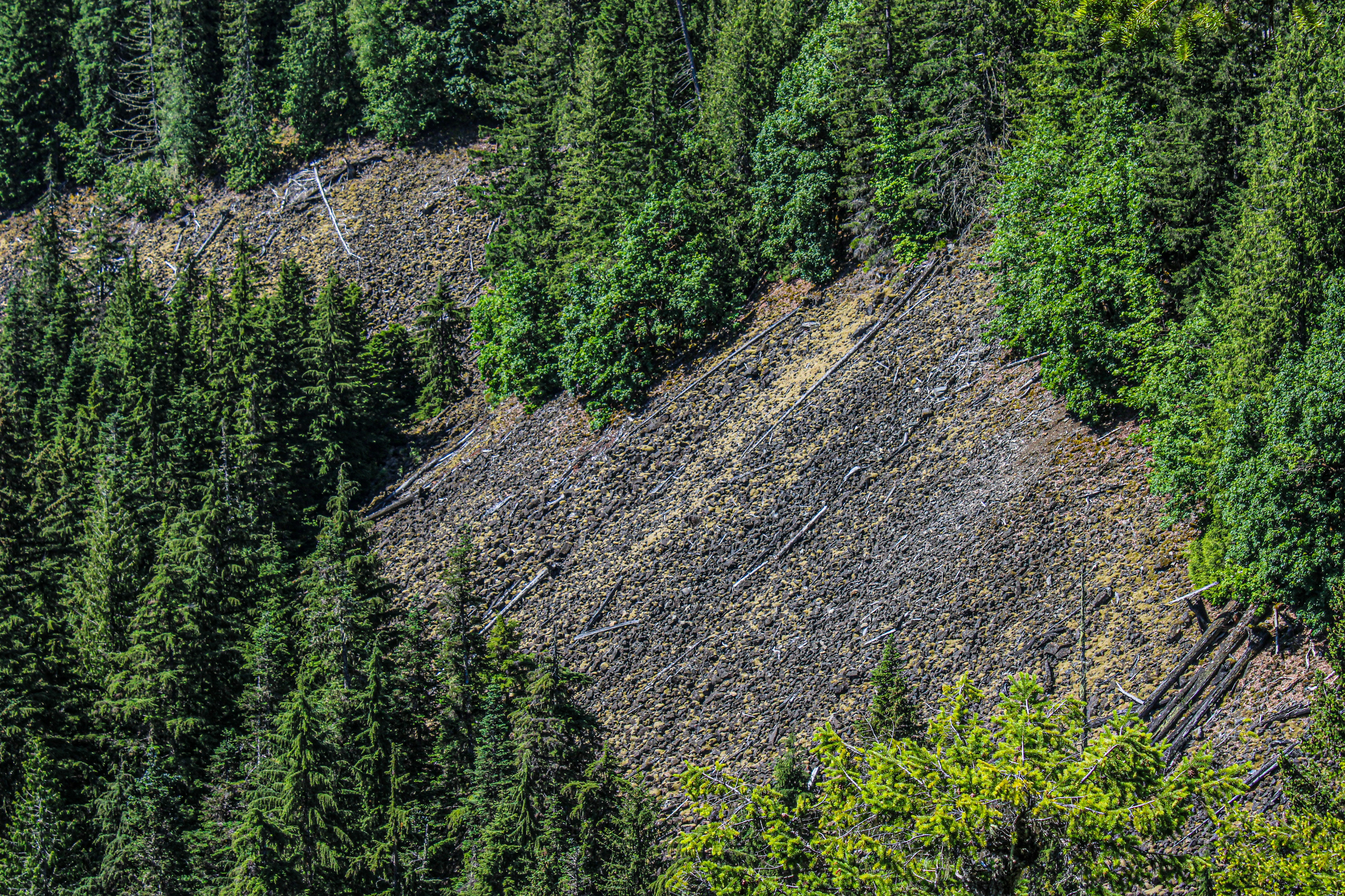 Photo by prphotography262