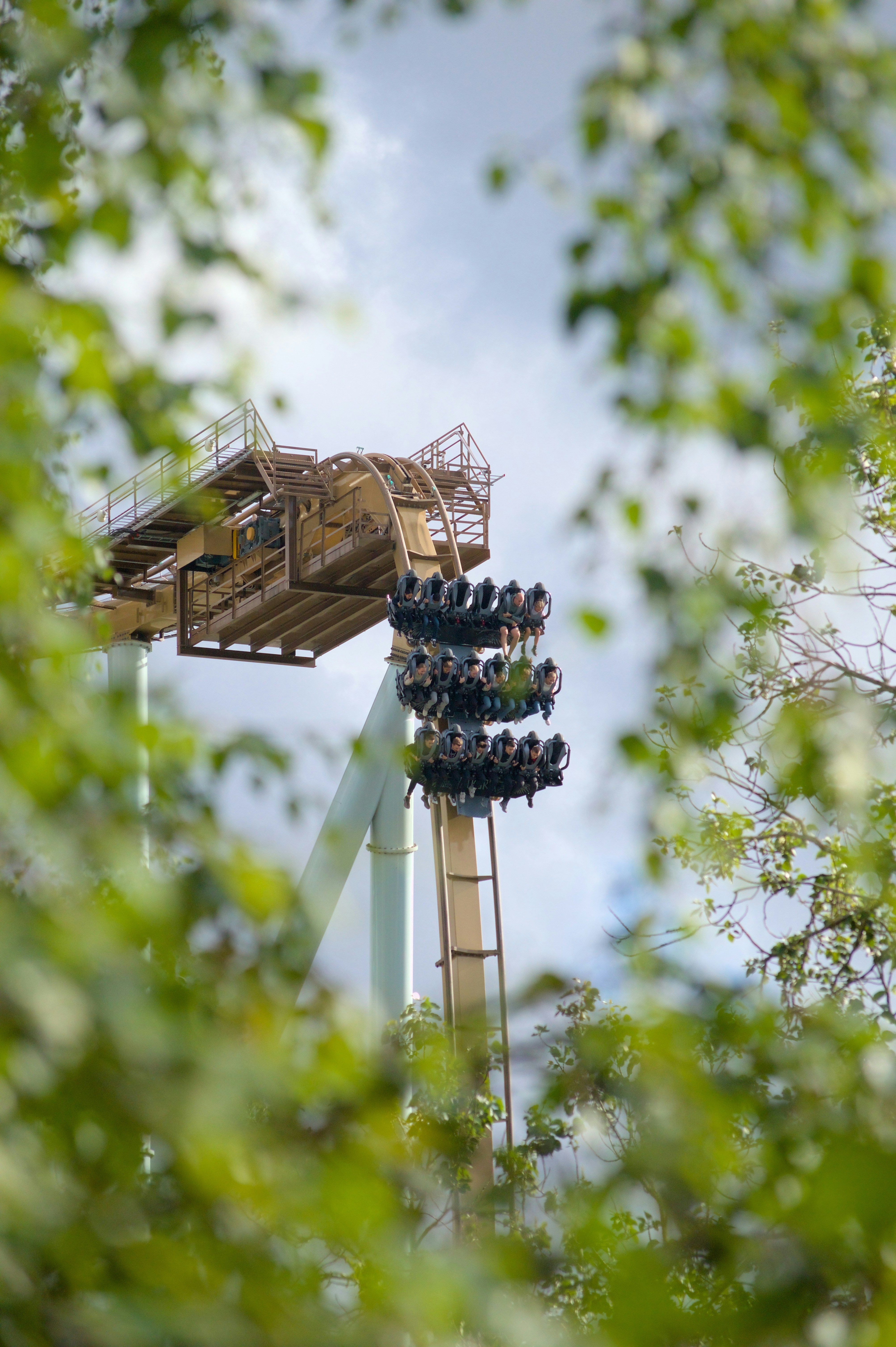 A ferris wheel with a bunch of people on it