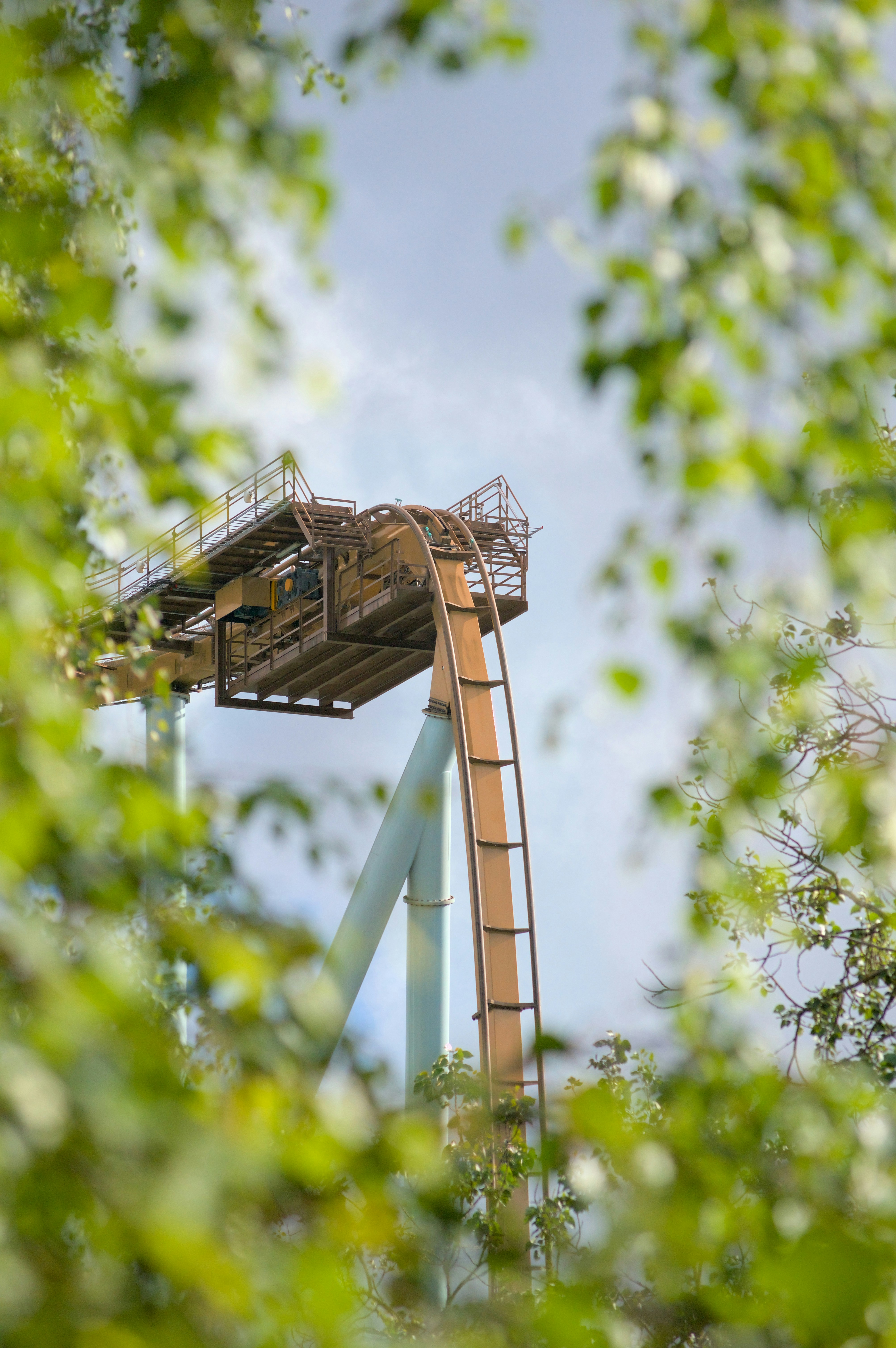 A roller coaster in the middle of trees