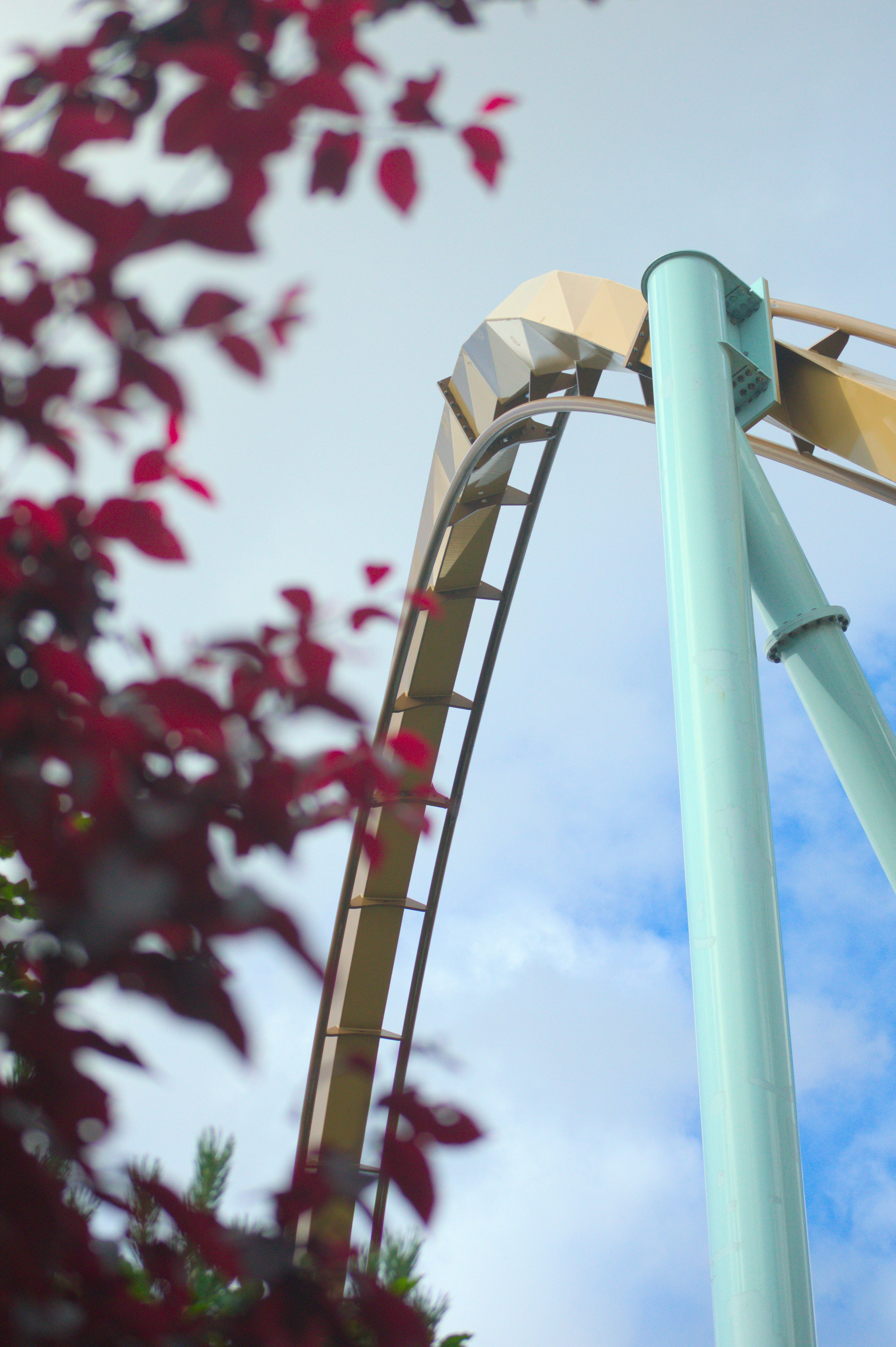A roller coaster in the middle of a park