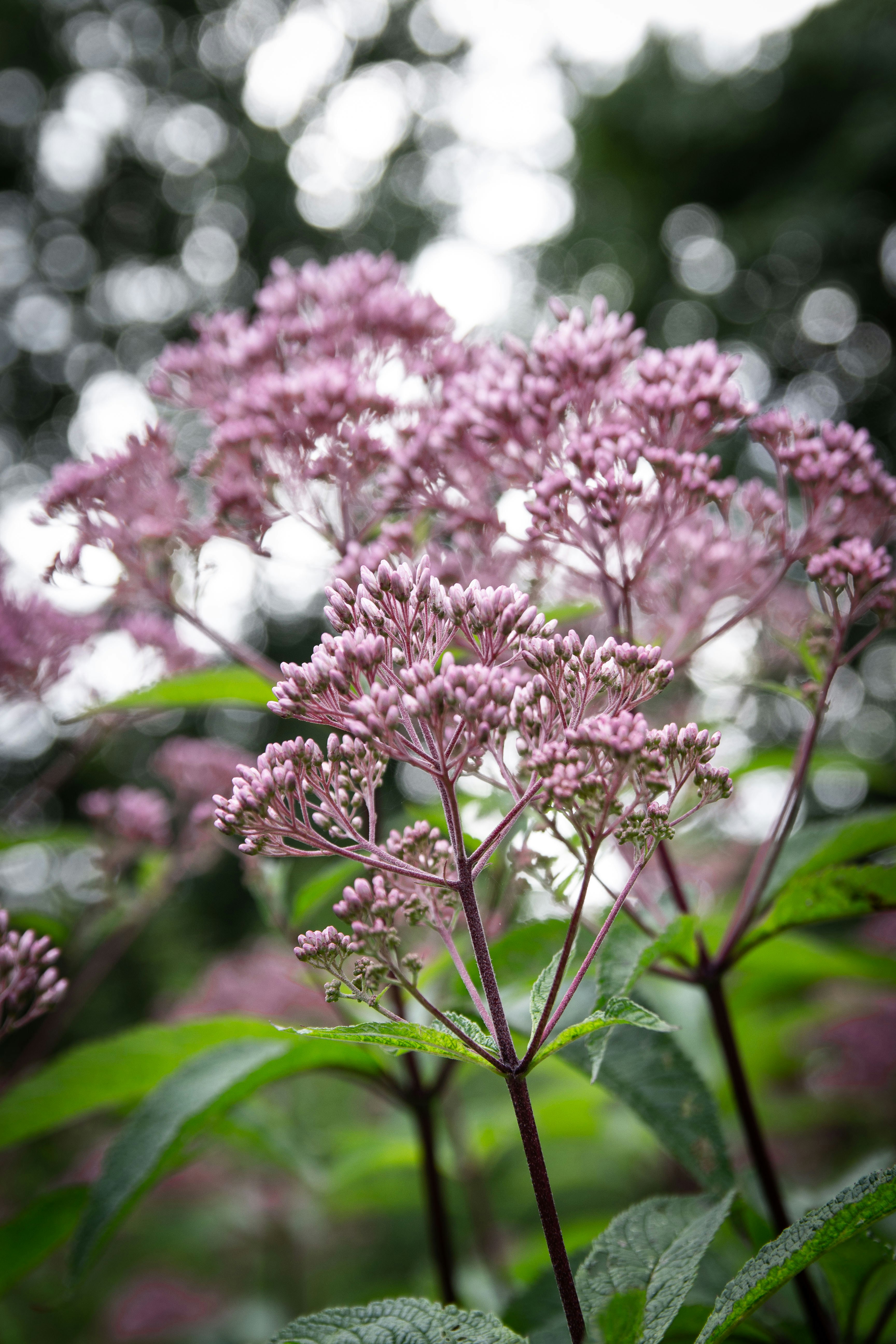 Photo by kennyvrphotography