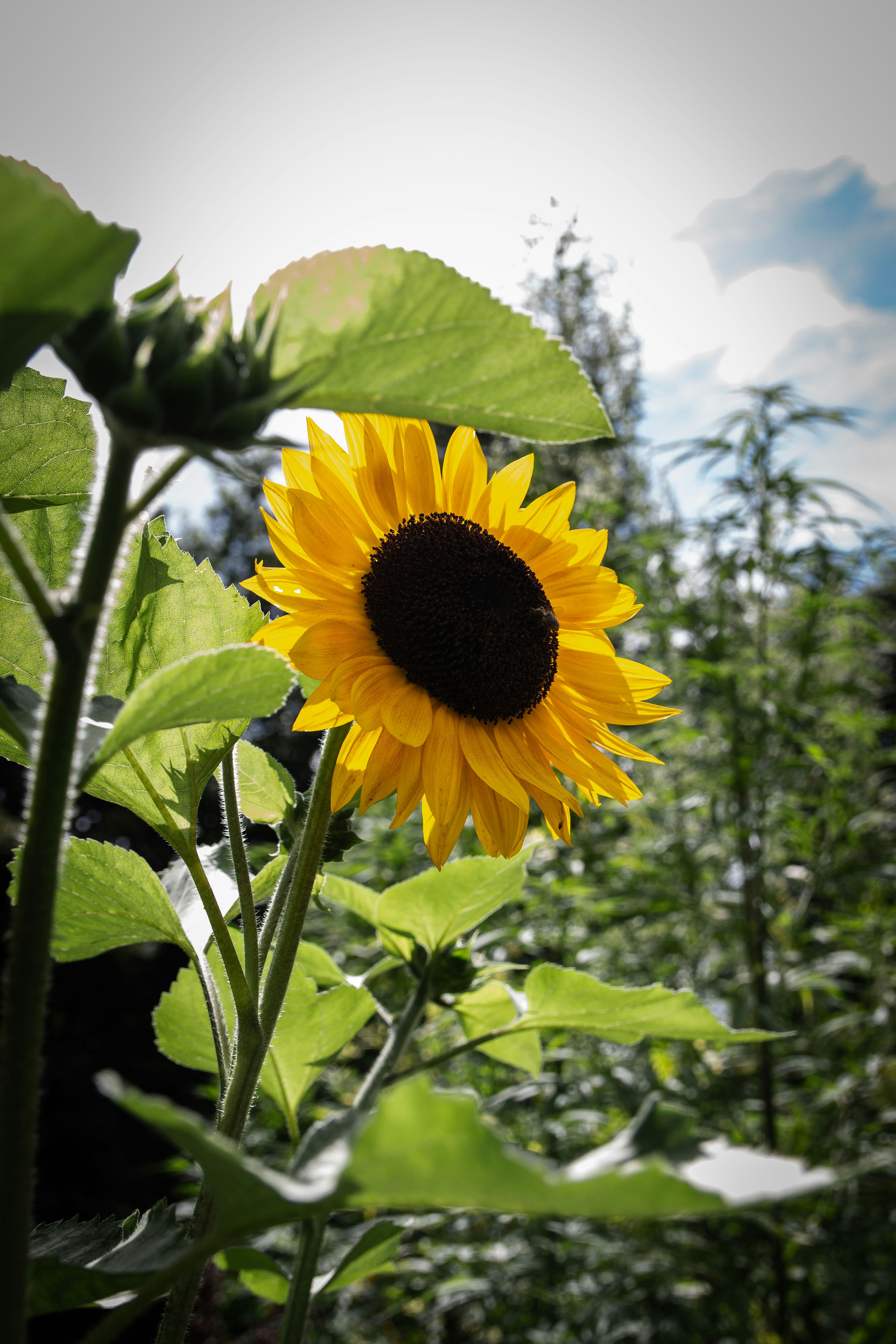 Photo by kennyvrphotography