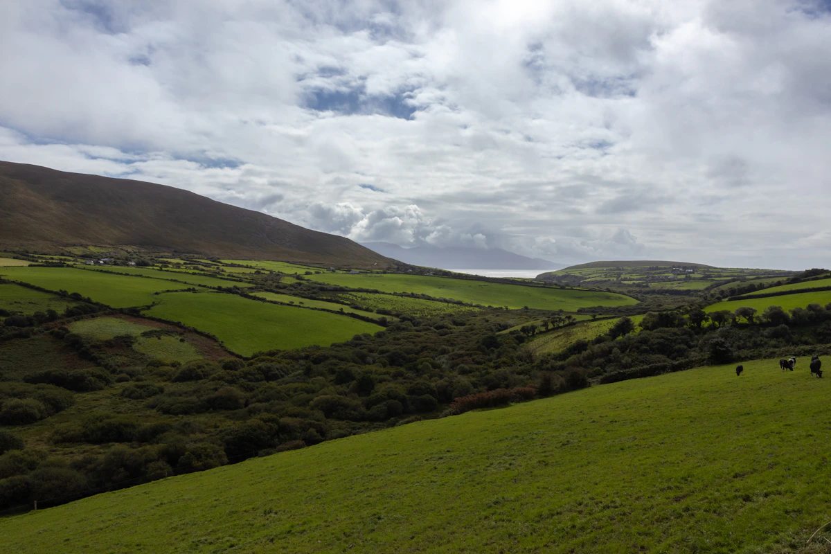 Rolling green Irish countryside