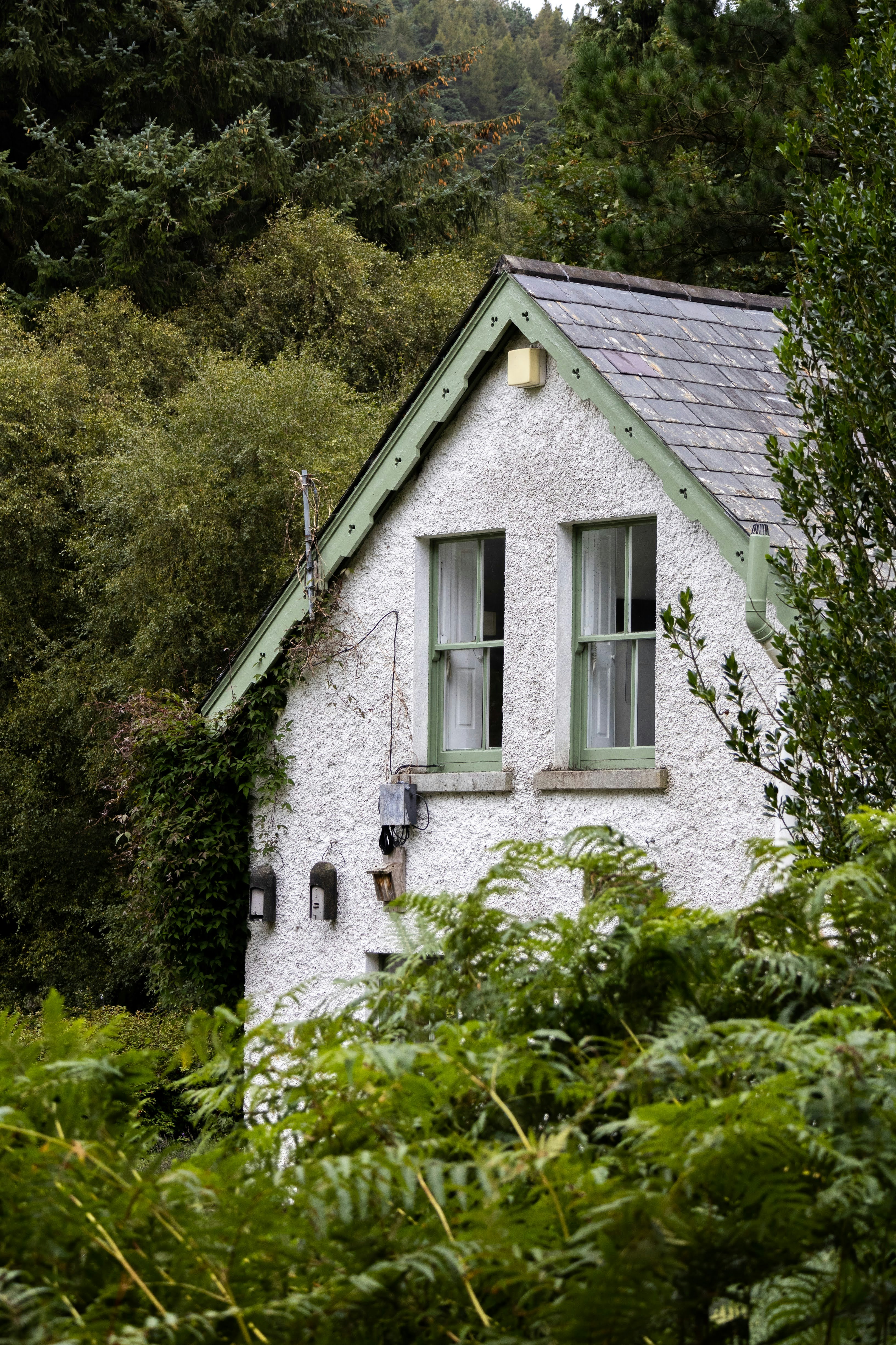 Photo by stephanie10