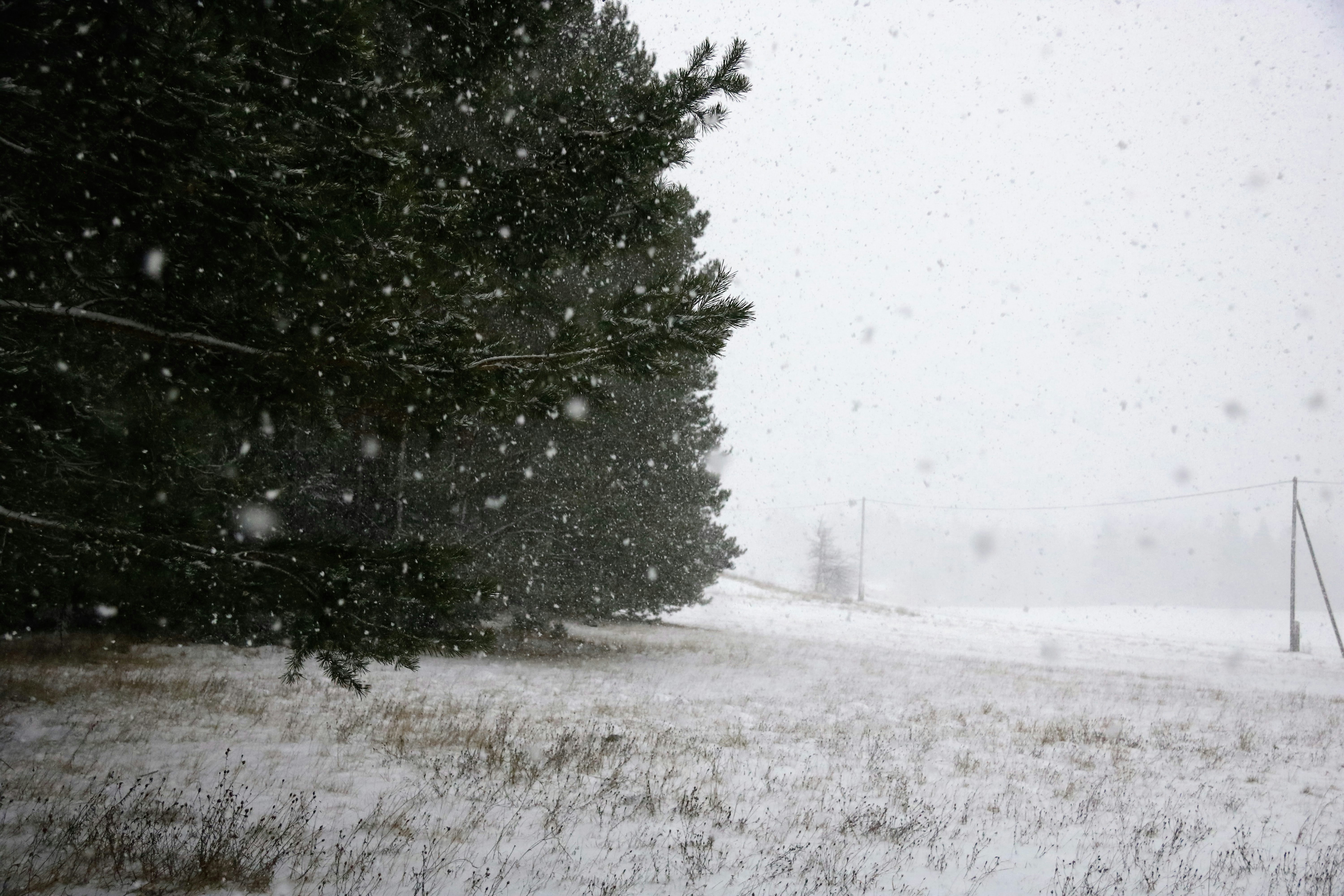 Photo by matejspulak