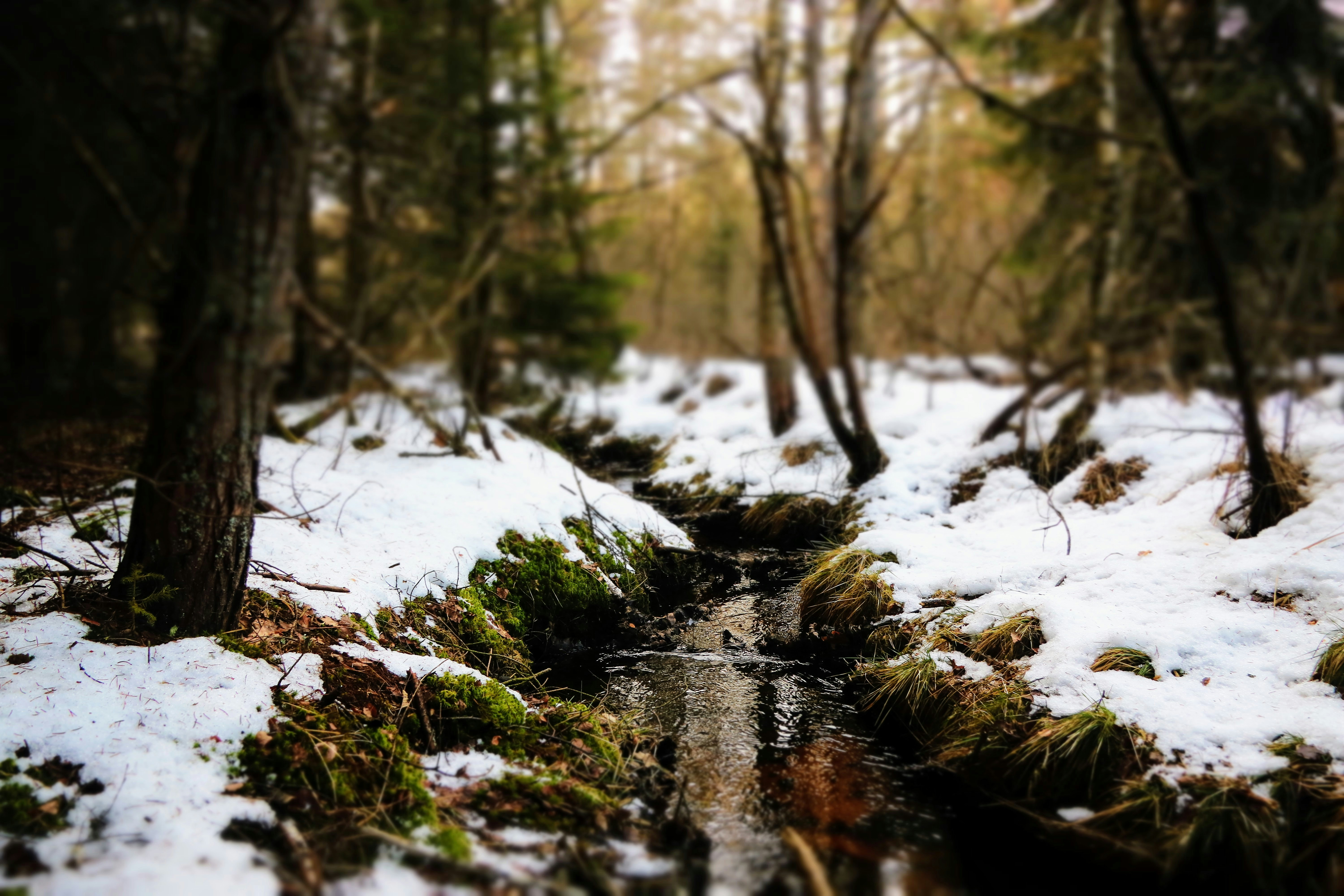 Photo by matejspulak